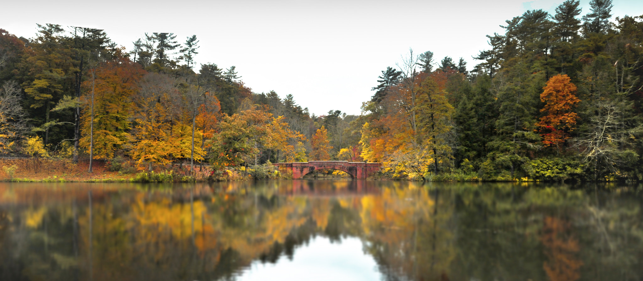 Nikon D300S sample photo. Biltmooore photography