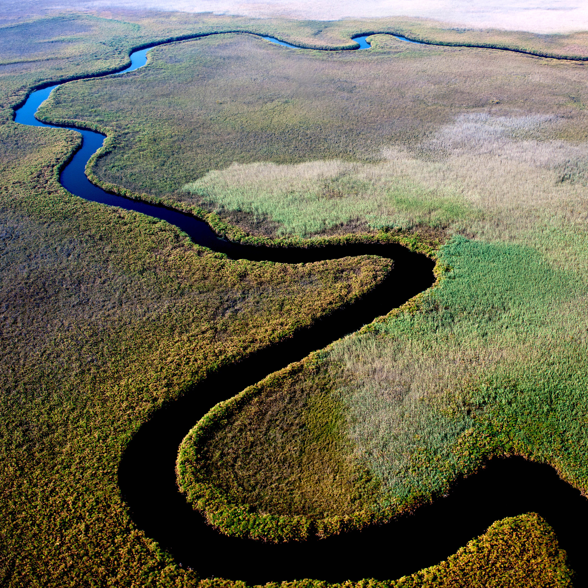 Nikon D3X sample photo. [ okavango delta ] photography