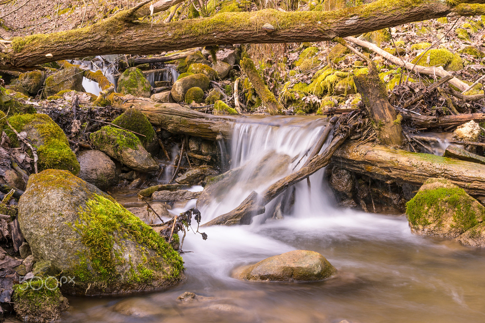 Sigma 17-70mm F2.8-4 DC Macro OS HSM | C sample photo. Forest stream photography