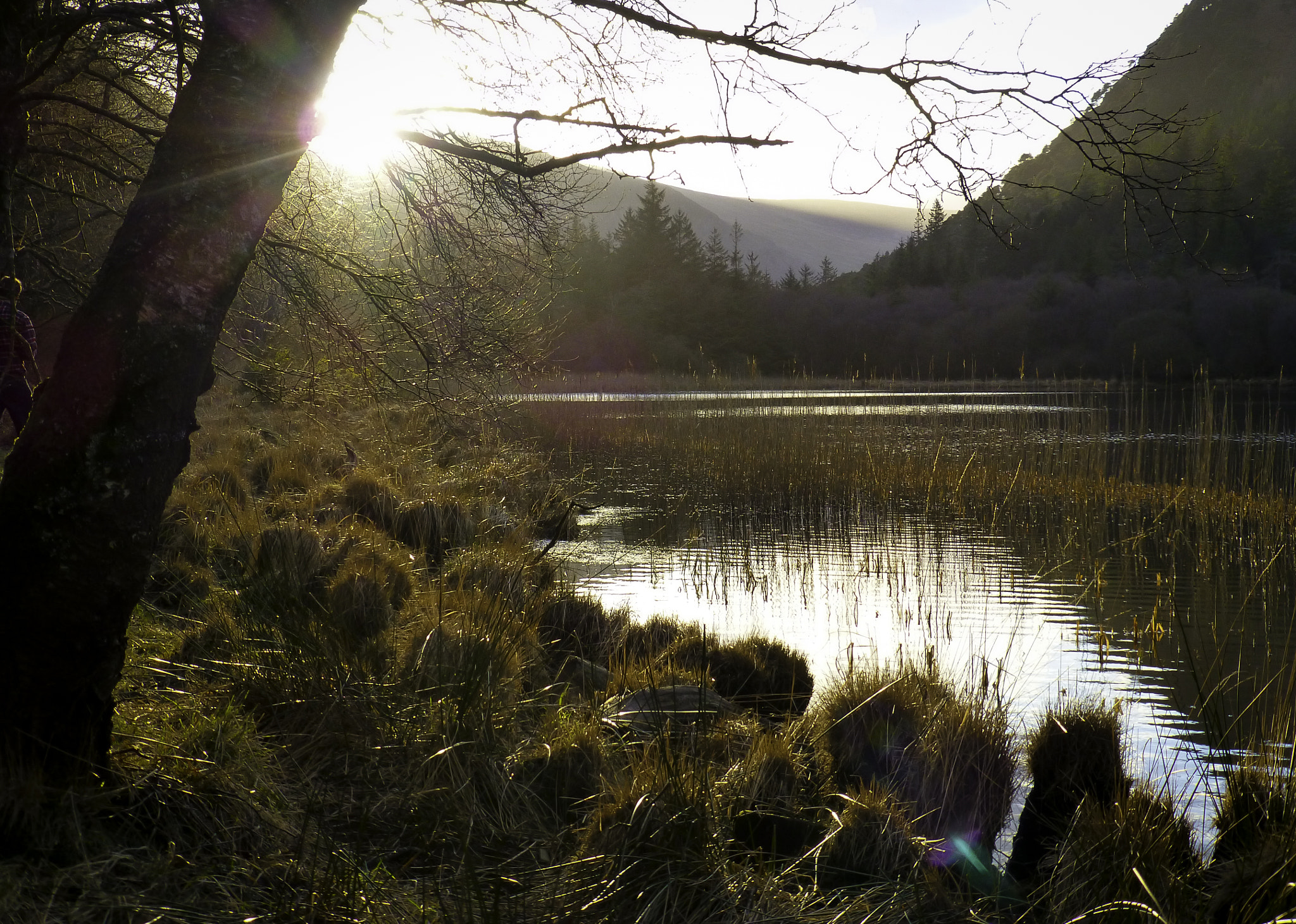 Panasonic Lumix DMC-ZS20 (Lumix DMC-TZ30) sample photo. Sunset at glendalough photography