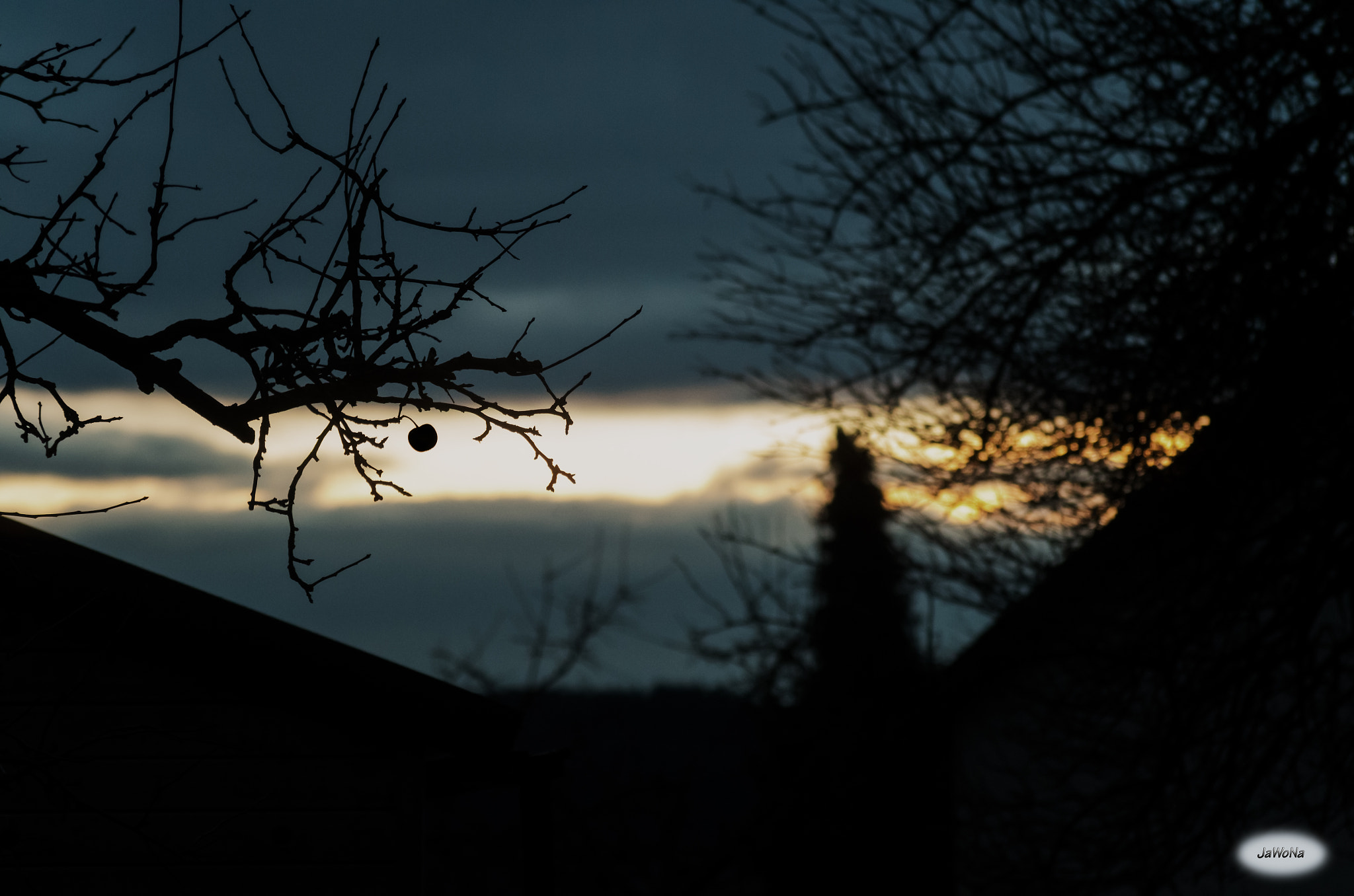 Pentax K-50 + Sigma sample photo. Tough apple in december photography