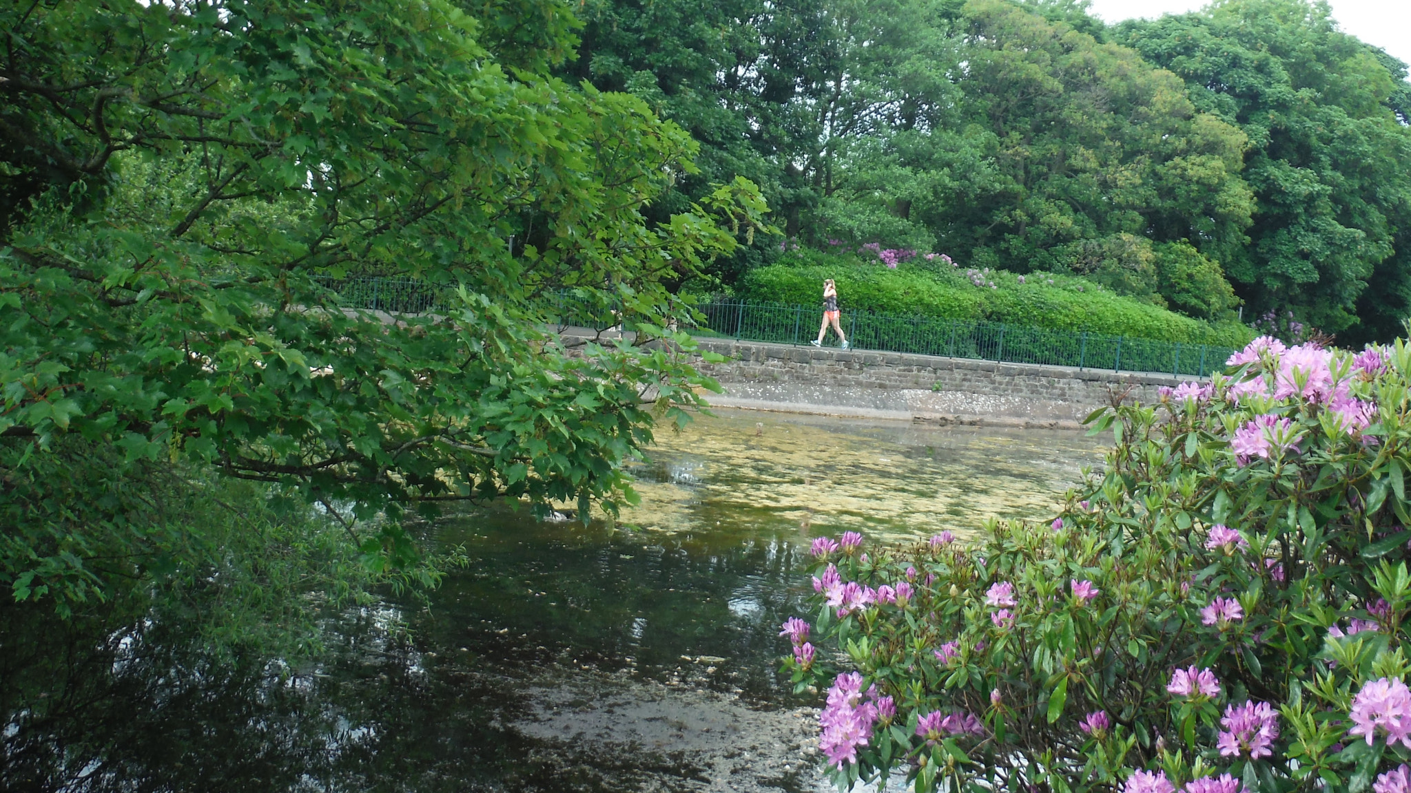 Fujifilm FinePix XP70 XP71 XP75 sample photo. A walk in the park photography