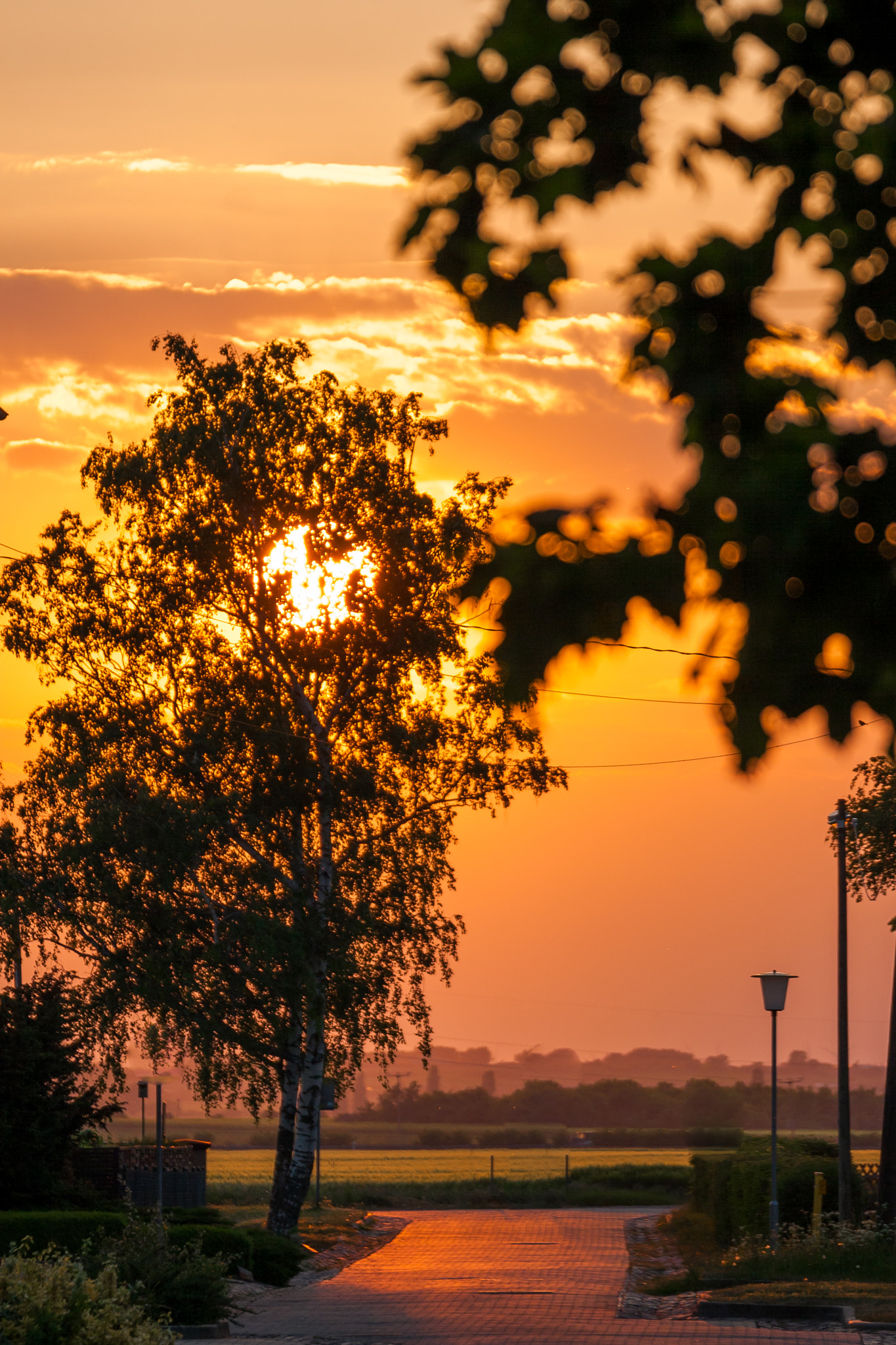 Tamron SP 35mm F1.8 Di VC USD sample photo. Sunset  photography