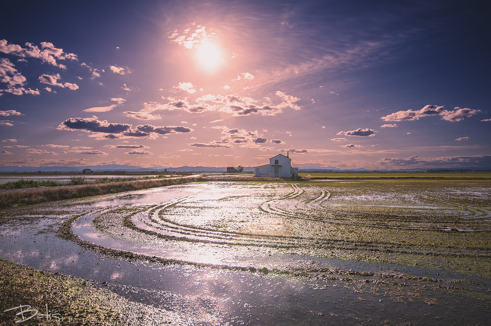 Nikon D300S sample photo. Arrozales en sueca photography