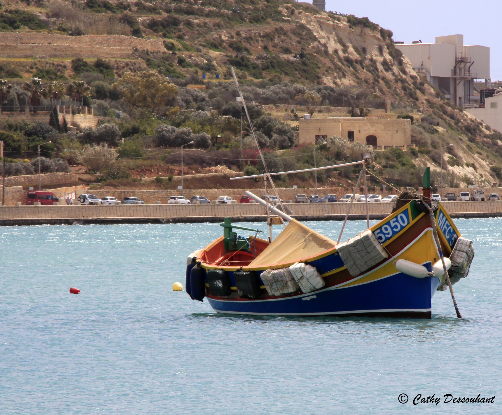 Canon EOS 650D (EOS Rebel T4i / EOS Kiss X6i) + Tamron AF 18-200mm F3.5-6.3 XR Di II LD Aspherical (IF) Macro sample photo. Barque maltaise photography