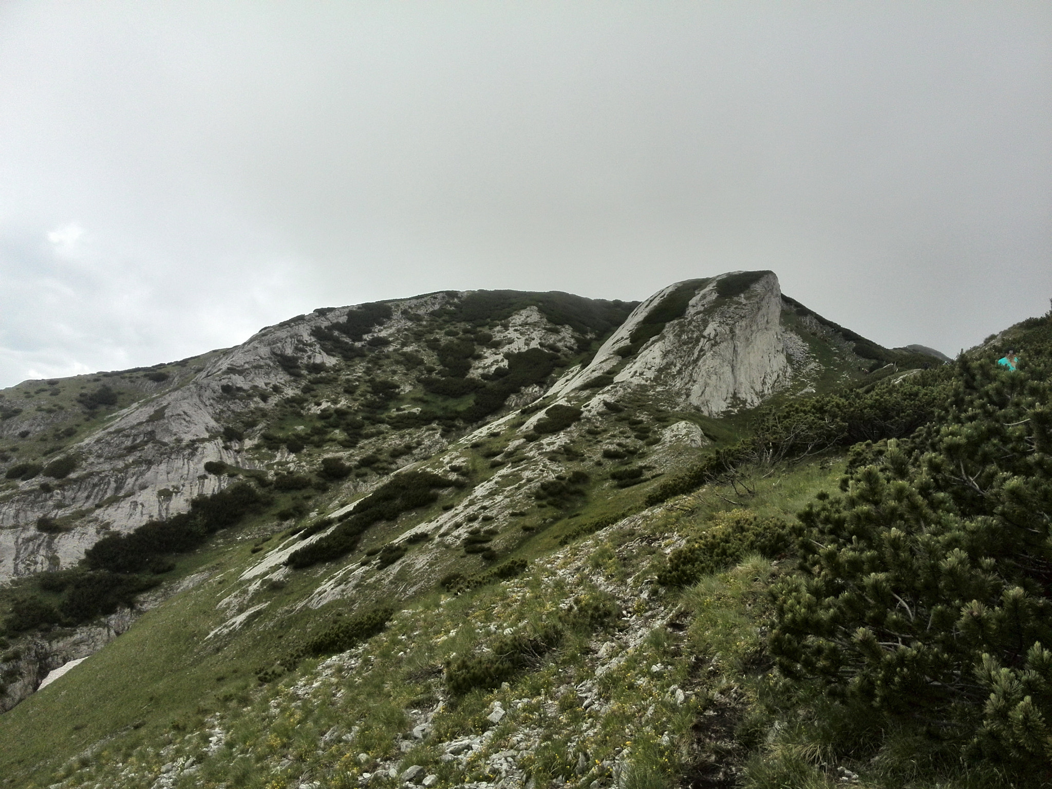 HUAWEI P6-U06 sample photo