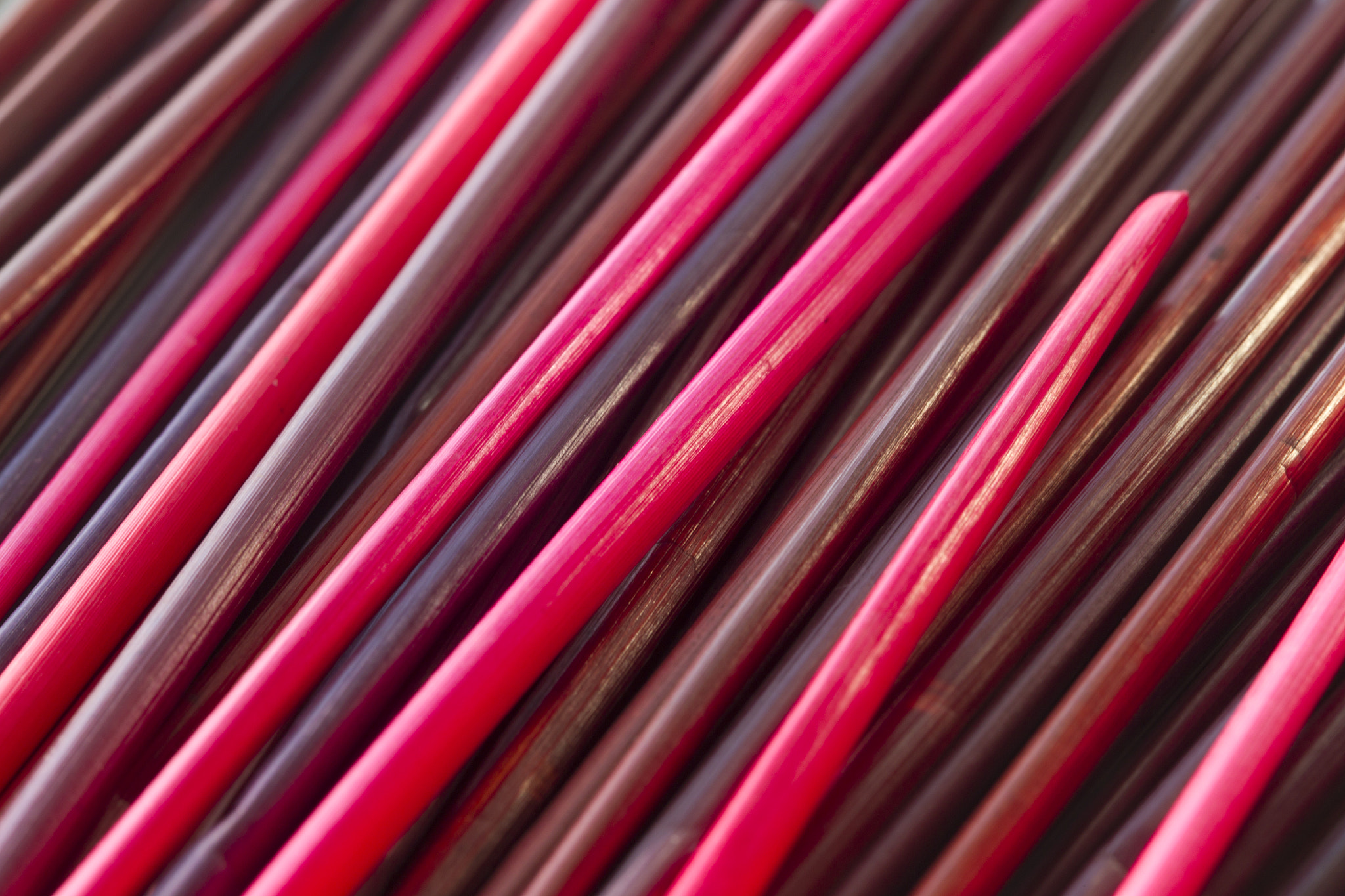 Canon EOS-1D Mark IV sample photo. Lines photography
