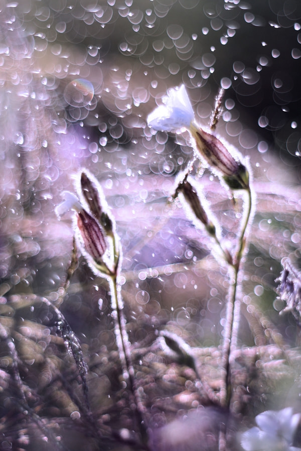 0.0 - 2.0 mm sample photo