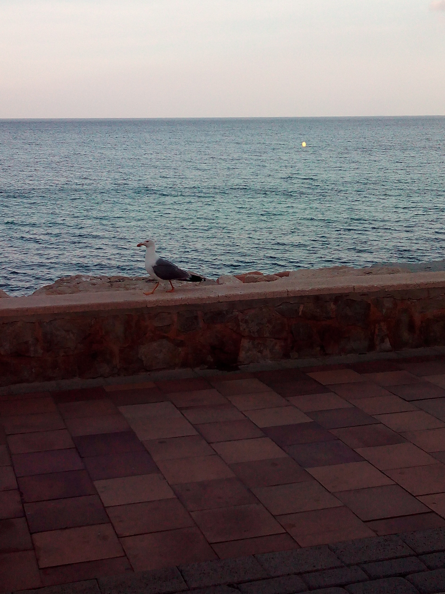 bq Aquaris E5 FHD sample photo