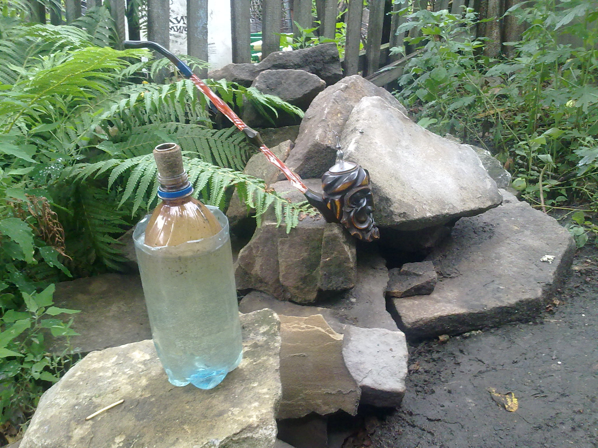 Nokia 5530 sample photo. 01072010524.jpg photography