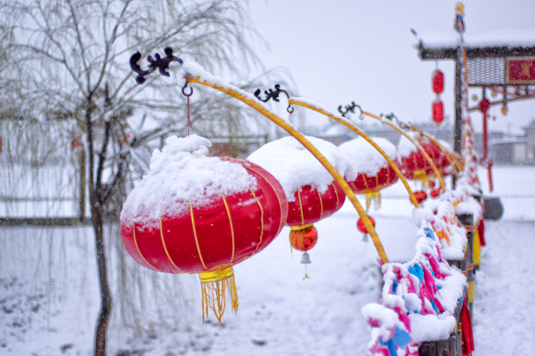 Pentax smc FA 43mm F1.9 Limited sample photo. 雪中的灯笼 photography