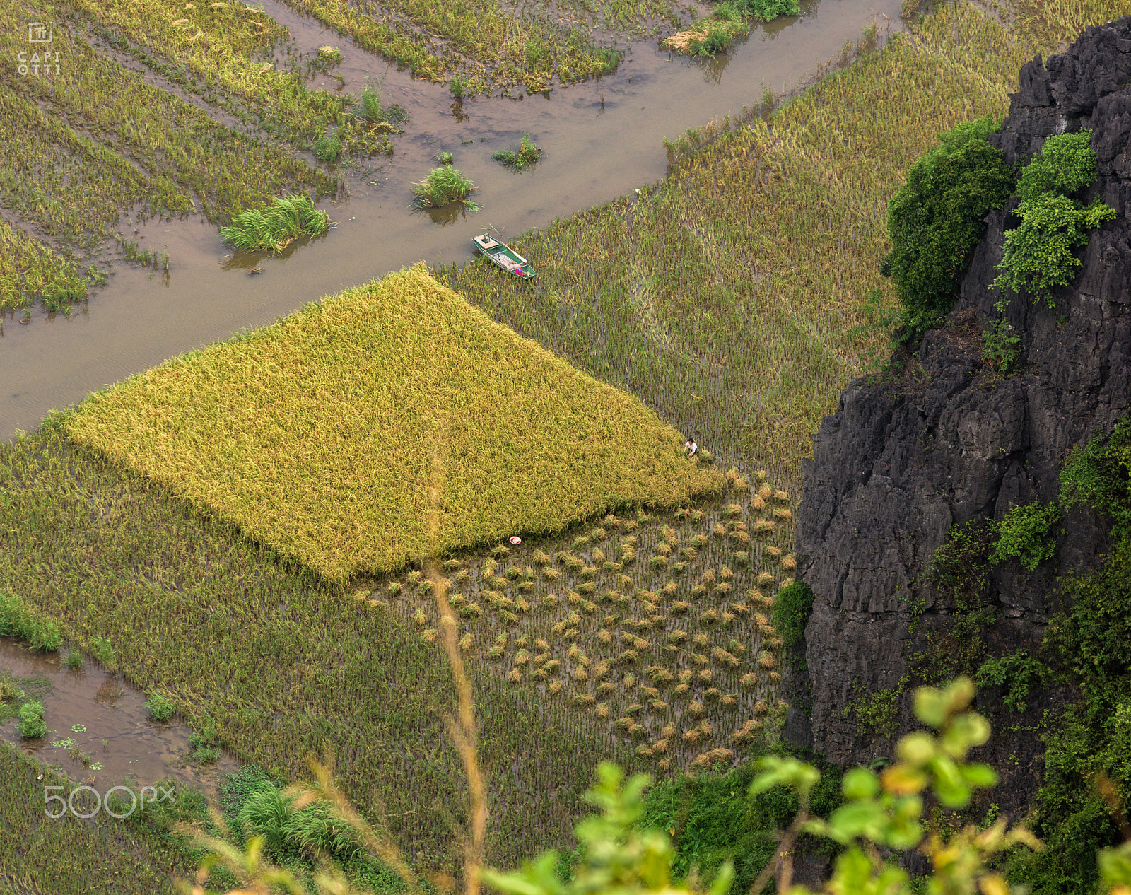 Nikon D810 + AF Nikkor 180mm f/2.8 IF-ED sample photo. Ninh binh photography