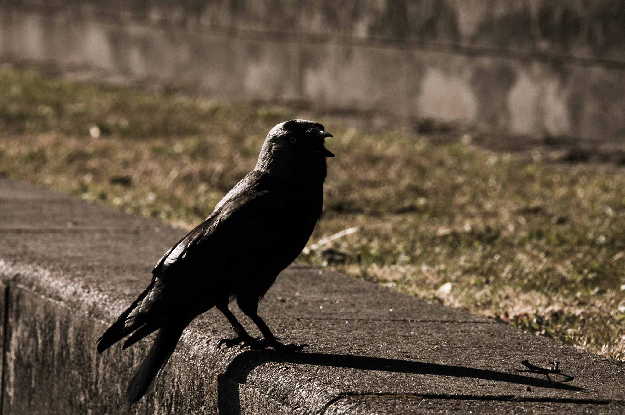 Nikon D300S sample photo. Hot photography