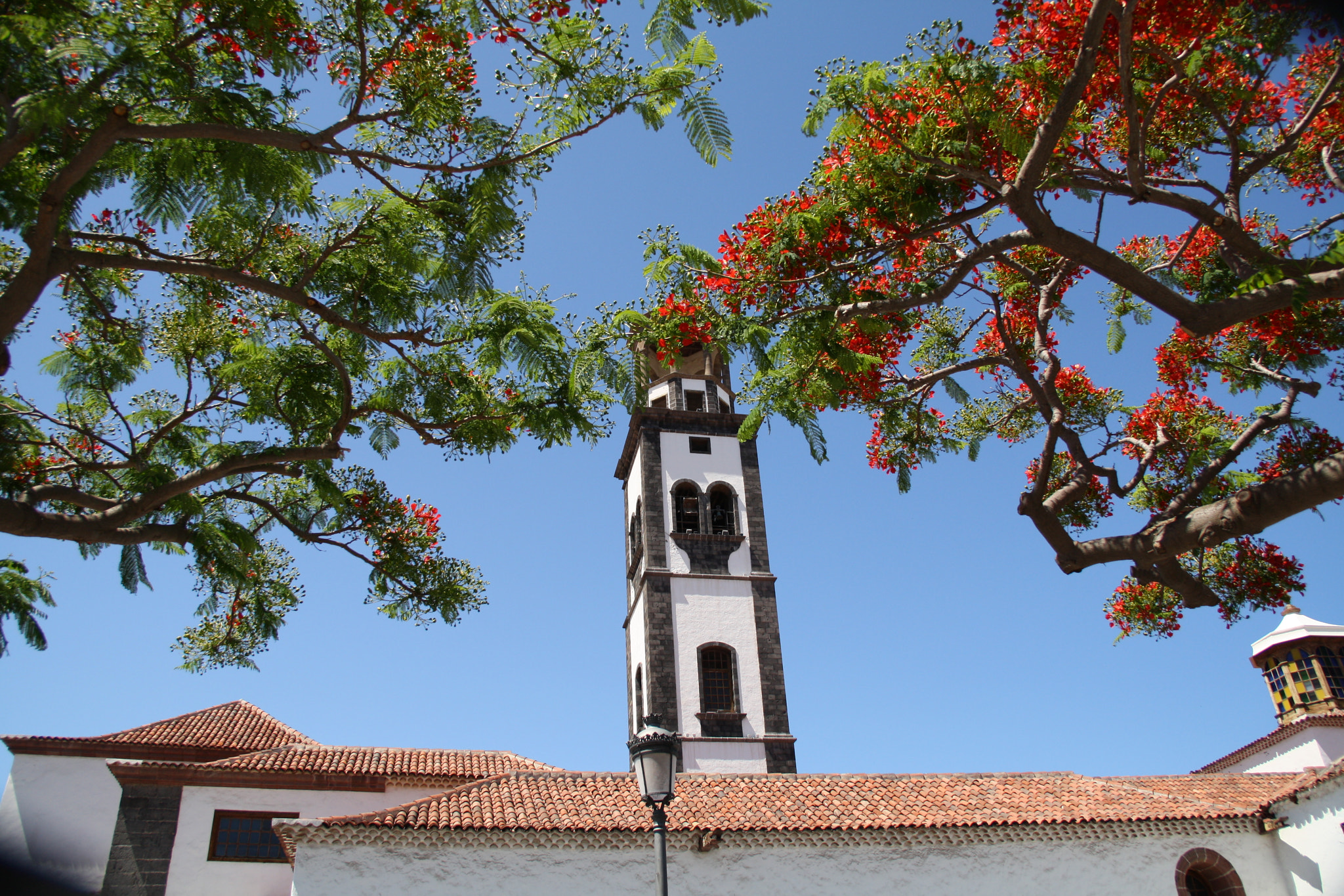 Canon EOS 1000D (EOS Digital Rebel XS / EOS Kiss F) sample photo. Tenerife photography
