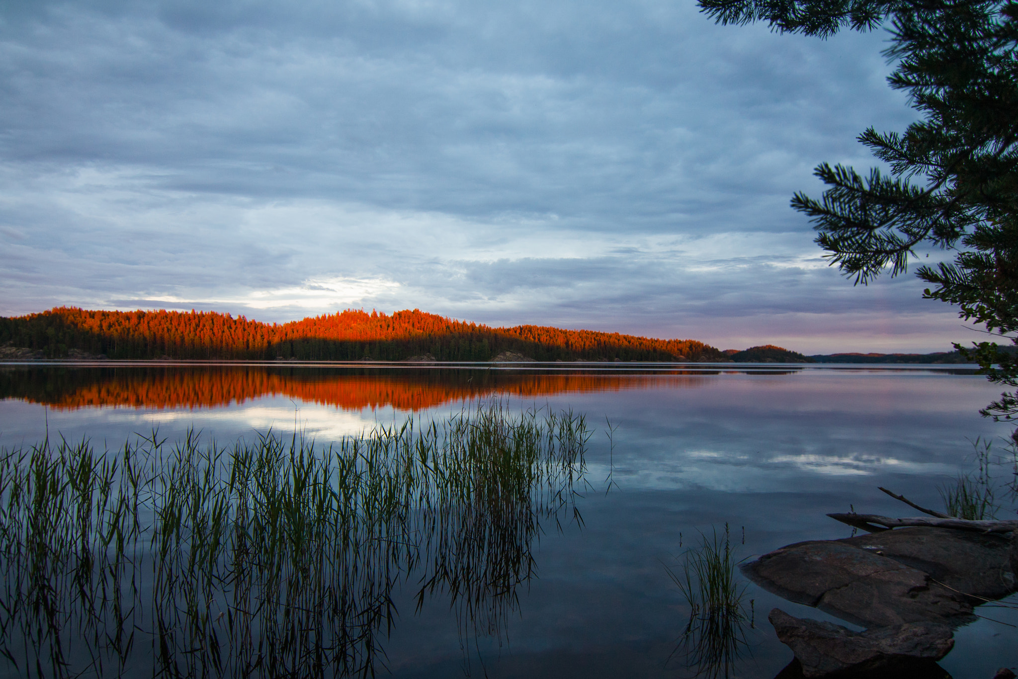 Canon EOS 450D (EOS Rebel XSi / EOS Kiss X2) sample photo. Finnish night photography