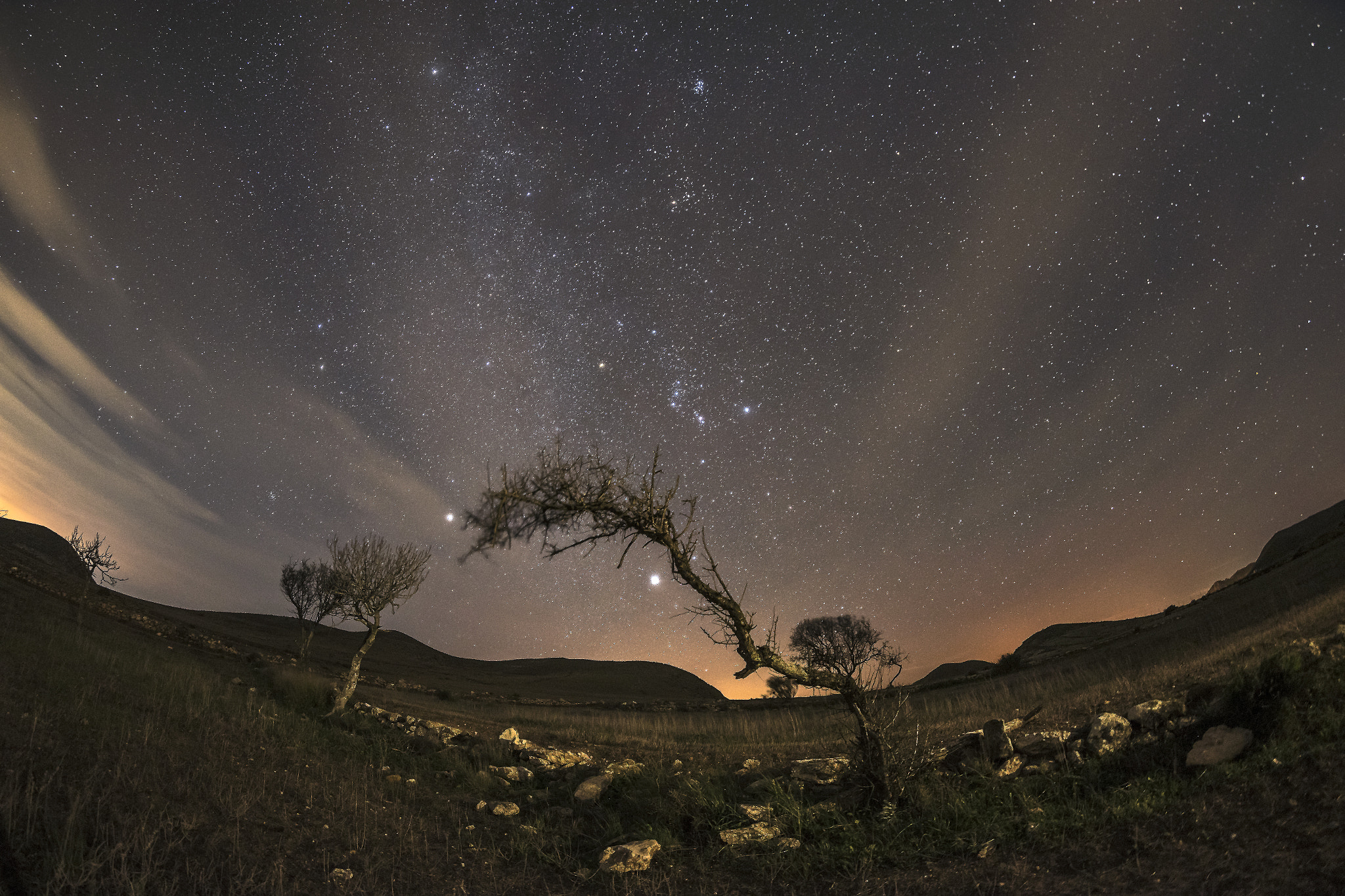 Samyang 12mm F2.8 ED AS NCS Fisheye sample photo. Stars in the fog photography
