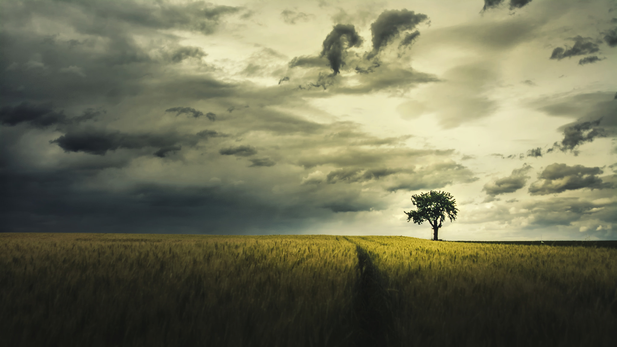 AF Zoom-Nikkor 24-120mm f/3.5-5.6D IF sample photo. A ladder to the clouds photography
