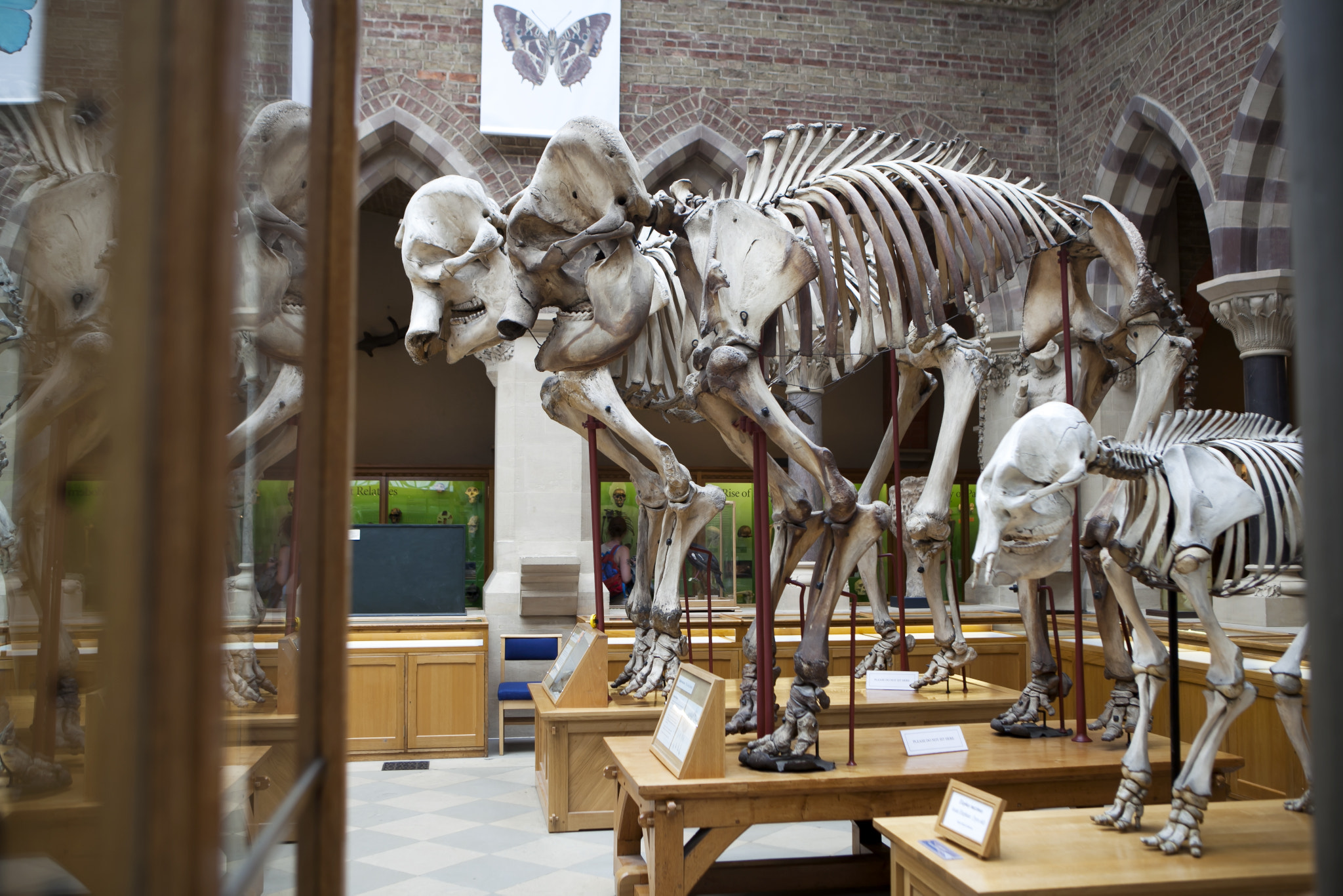 OXFORD - UK, MAY 26: Famous Oxford University Museum of Natural History, is a museum displaying...
