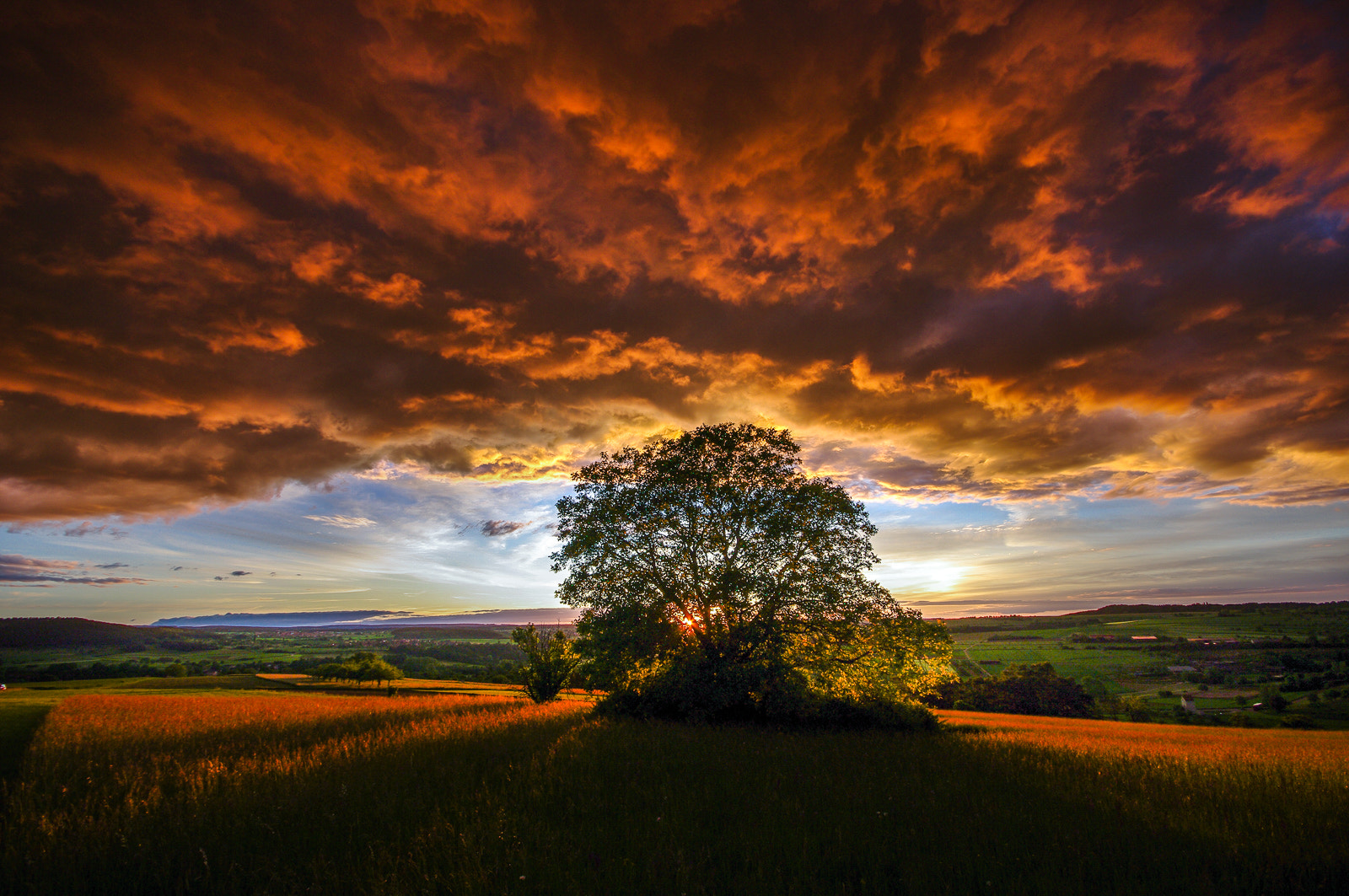 Sigma AF 10-20mm F4-5.6 EX DC sample photo. *cloud framed sunset* photography