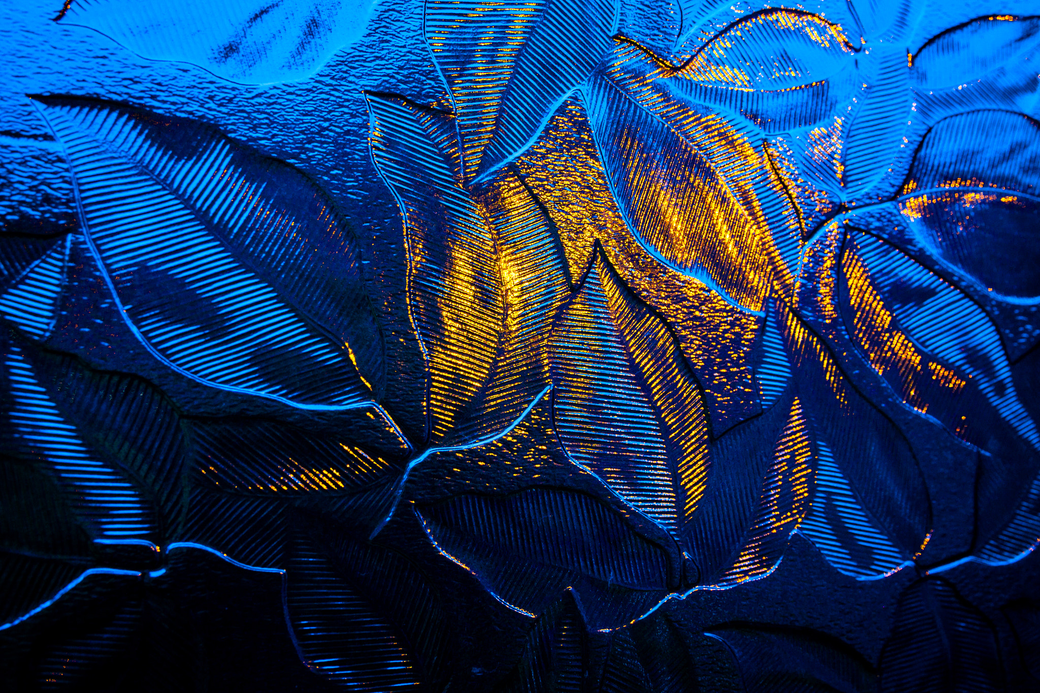 Canon EOS 1100D (EOS Rebel T3 / EOS Kiss X50) sample photo. Frosted abstract photography