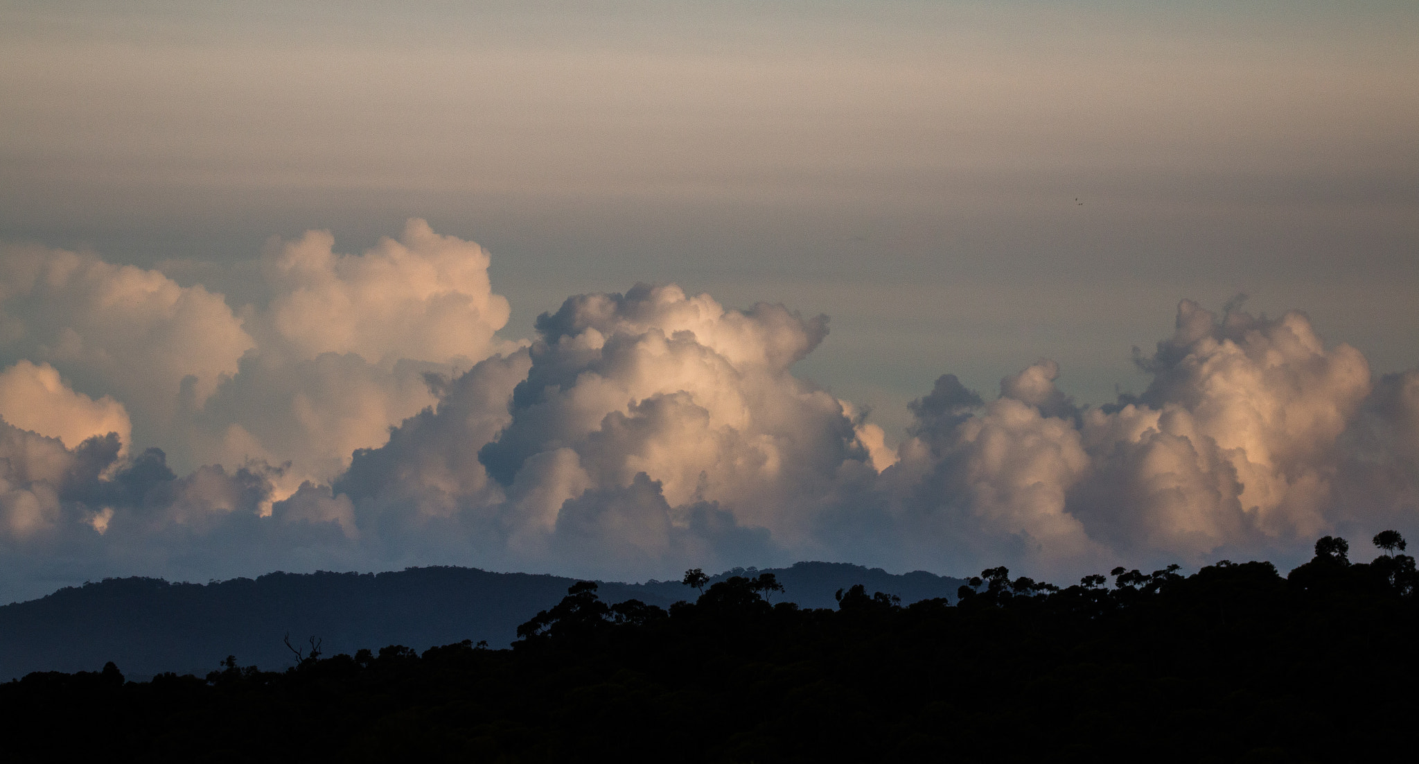 Canon EF 100-400mm F4.5-5.6L IS II USM sample photo. Big rain coming photography