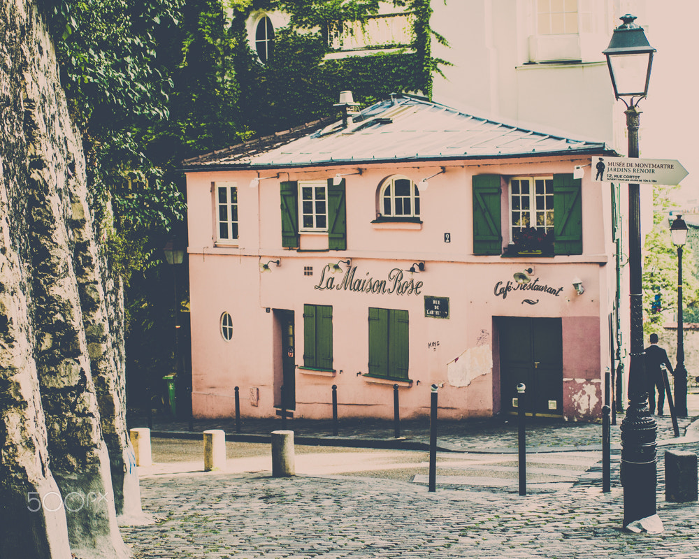 Canon EOS 60D + Canon EF 35mm F1.4L USM sample photo. Paris in june photography