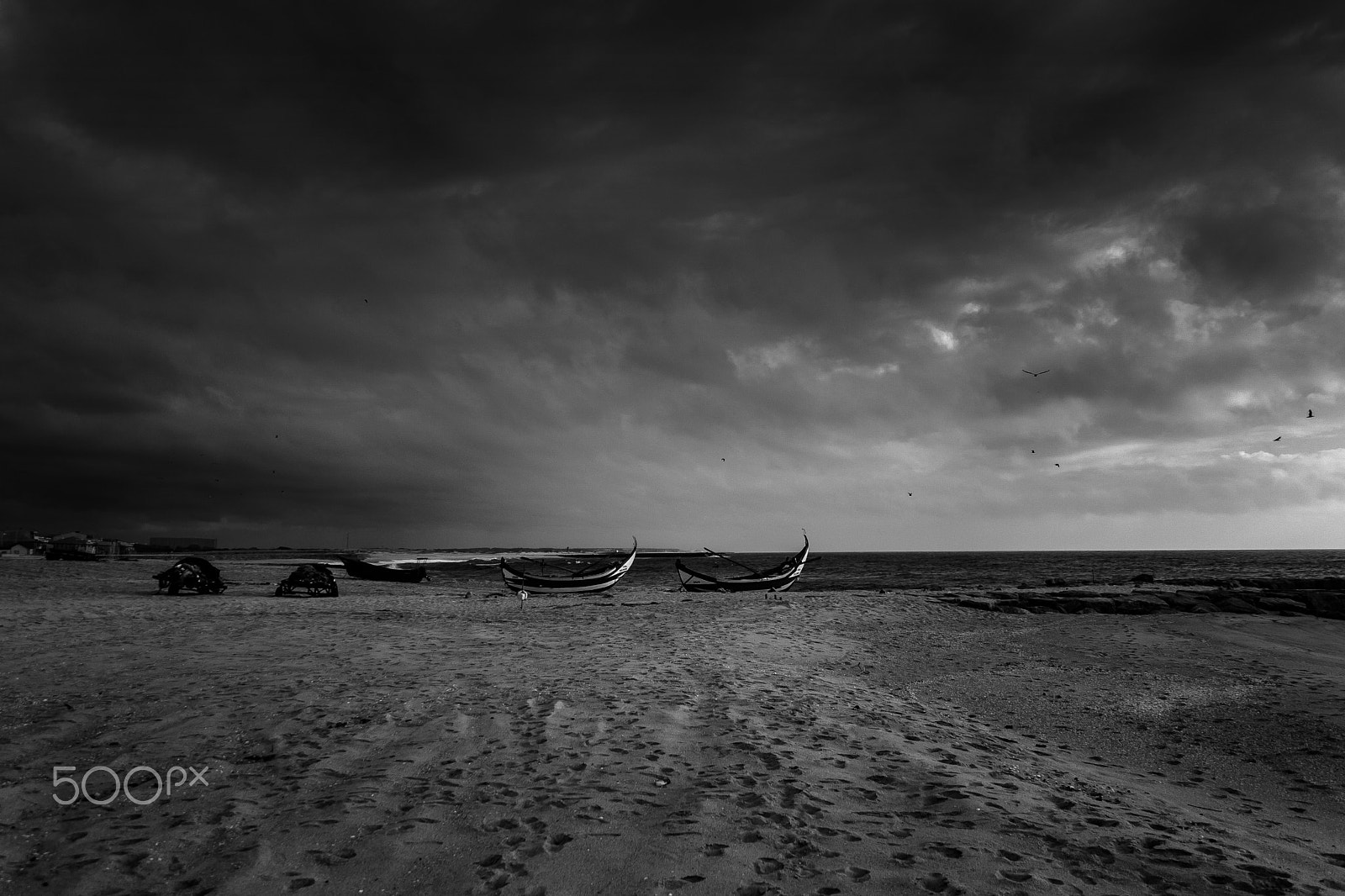 Canon EOS 500D (EOS Rebel T1i / EOS Kiss X3) sample photo. The beach fishermen. photography