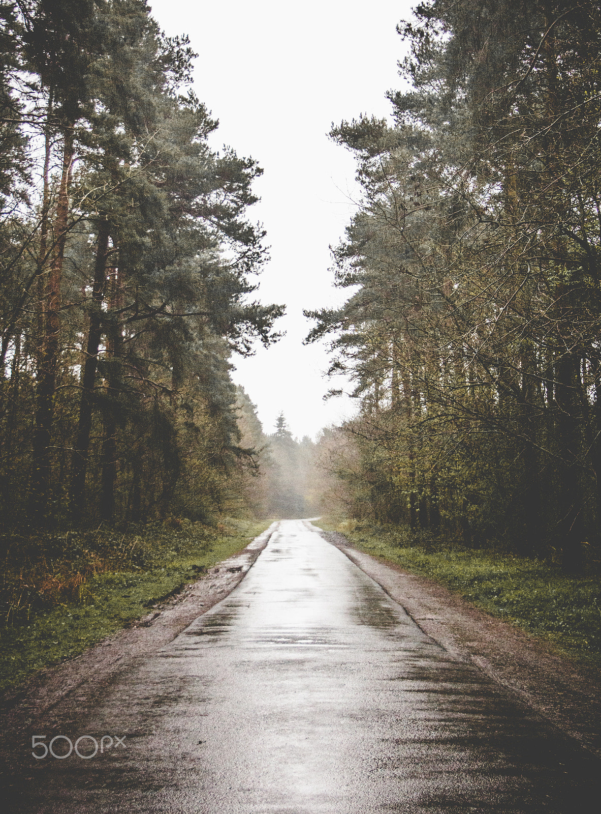Canon EF-S 18-55mm F3.5-5.6 sample photo. Road to nowhere photography