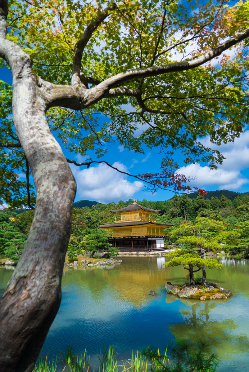 Sony a7S + Sony FE 24-240mm F3.5-6.3 OSS sample photo. The golden temple photography