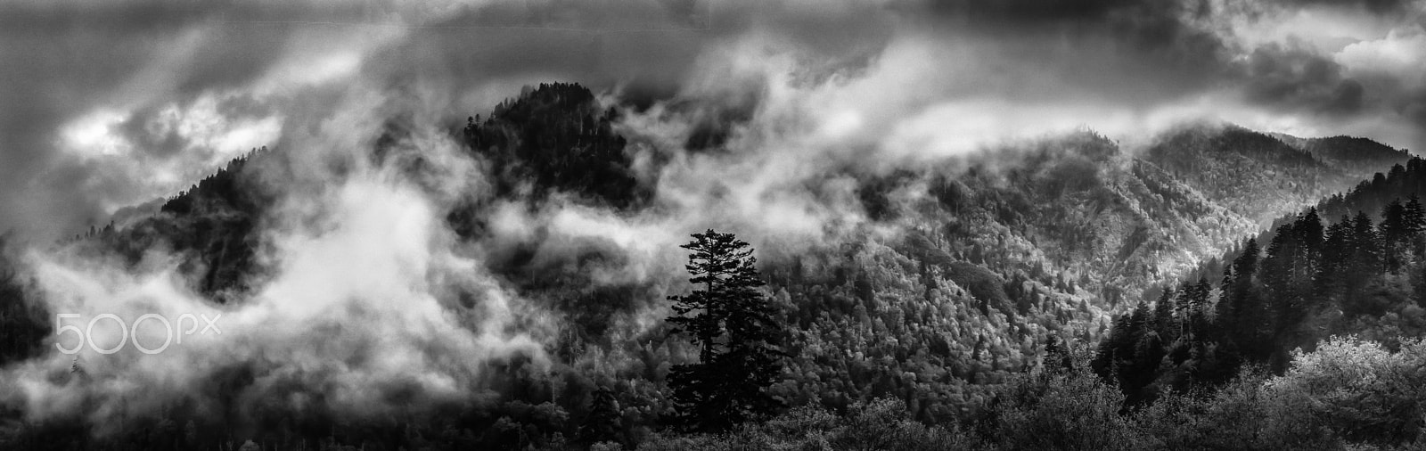 Canon EOS 650D (EOS Rebel T4i / EOS Kiss X6i) sample photo. Smoky mountain photography
