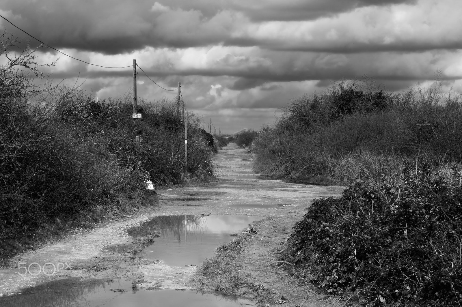 Pentax smc DA 50-200mm F4-5.6 ED WR sample photo. A long walk home... photography