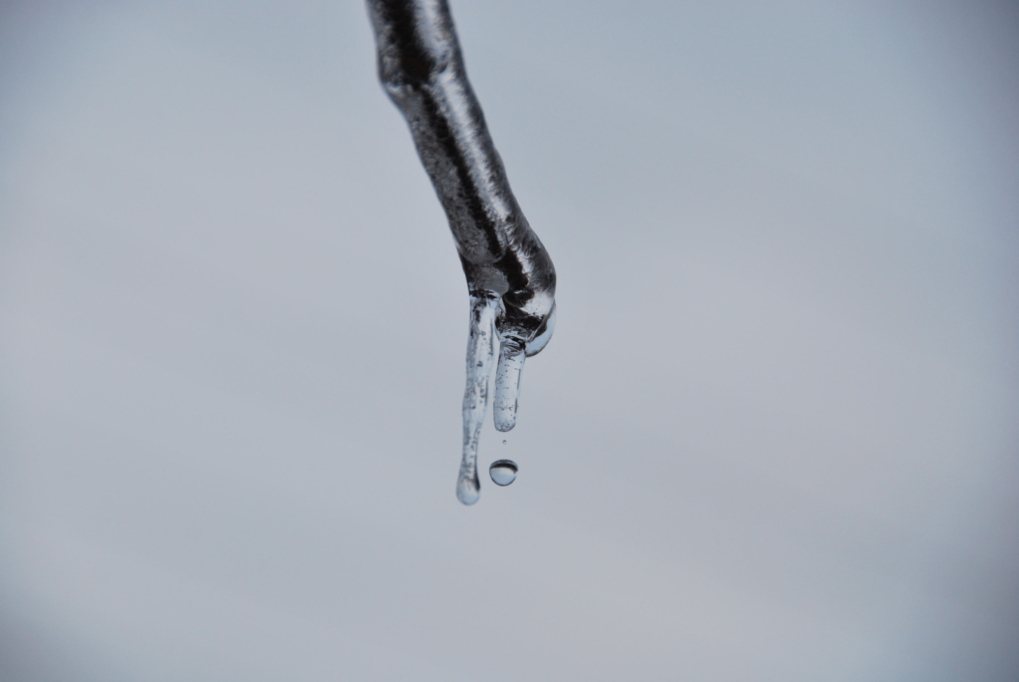 Nikon D60 sample photo. Ice drop photography