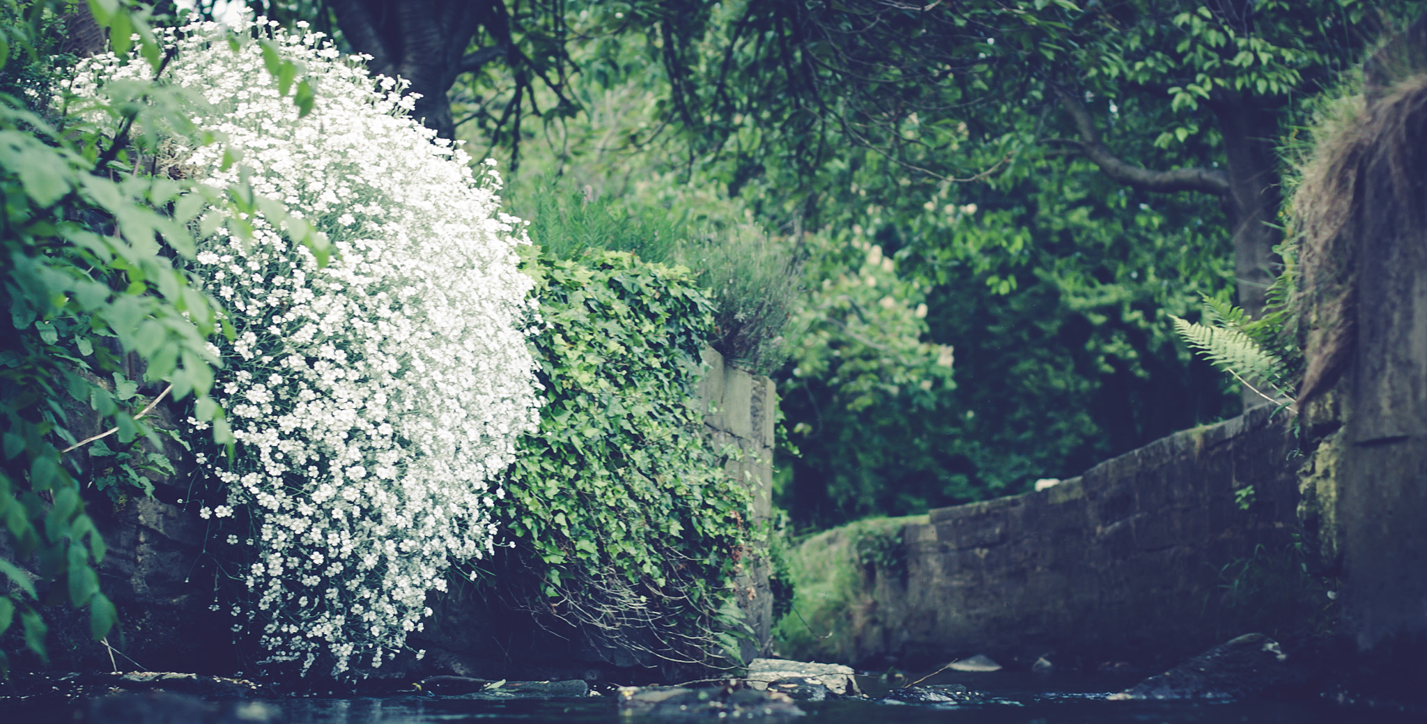 Canon EOS 50D + Canon EF 50mm F1.4 USM sample photo. Little canal photography