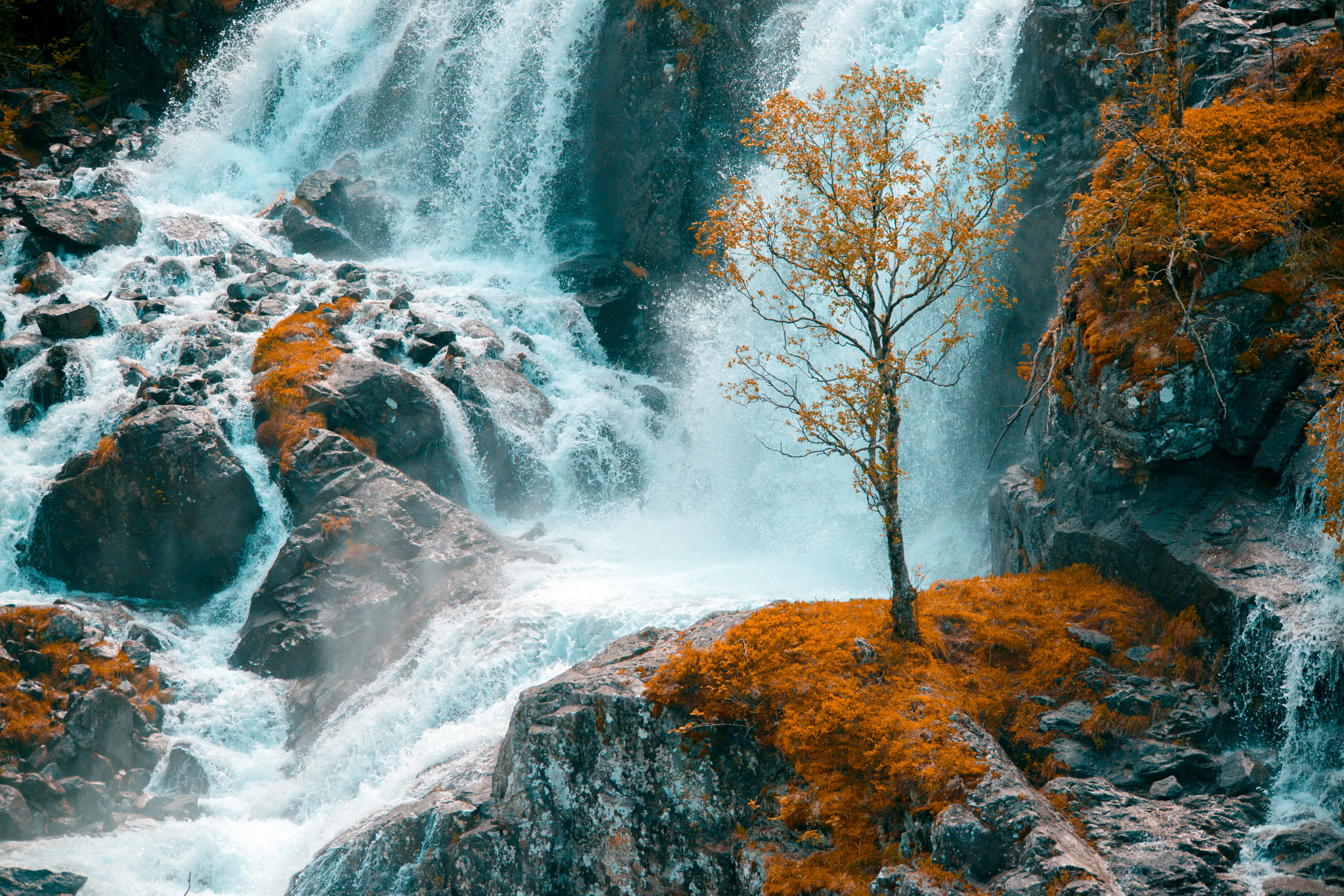 Sigma 150-500mm F5-6.3 DG OS HSM sample photo. Waterfall tree photography