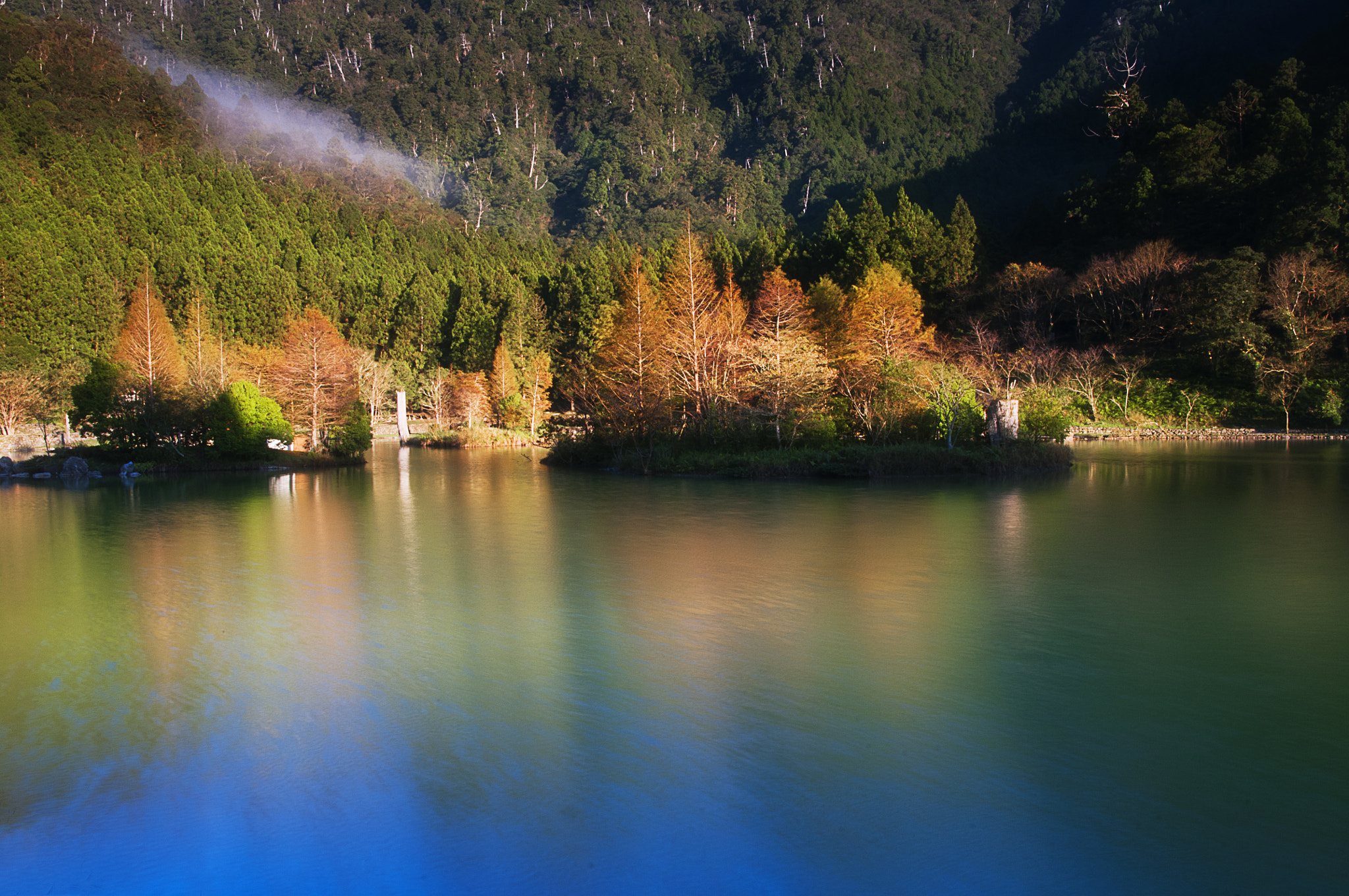 Sigma 17-70mm F2.8-4.5 DC Macro Asp. IF sample photo. 明池生態園區 photography