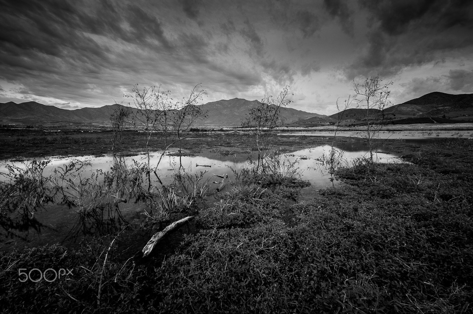 Sony SLT-A58 + 20mm F2.8 sample photo. Stormy days photography