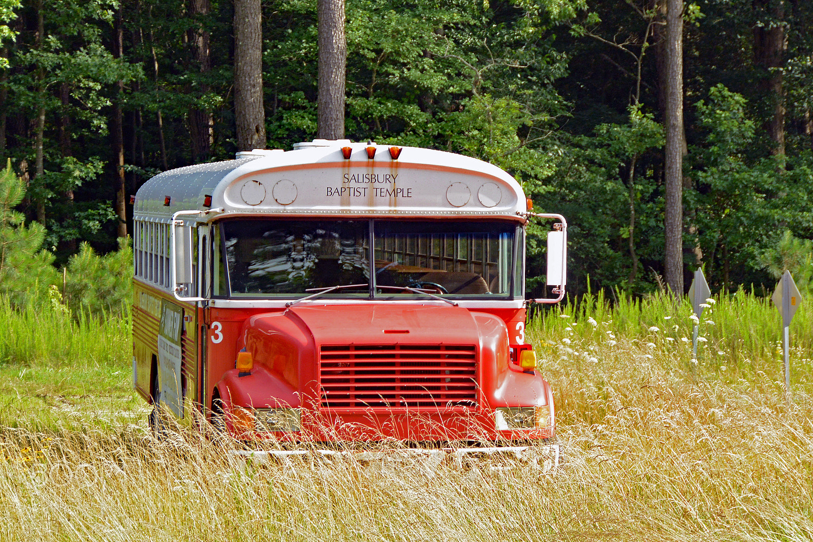 Nikon 1 V2 sample photo. Red bus #3 photography
