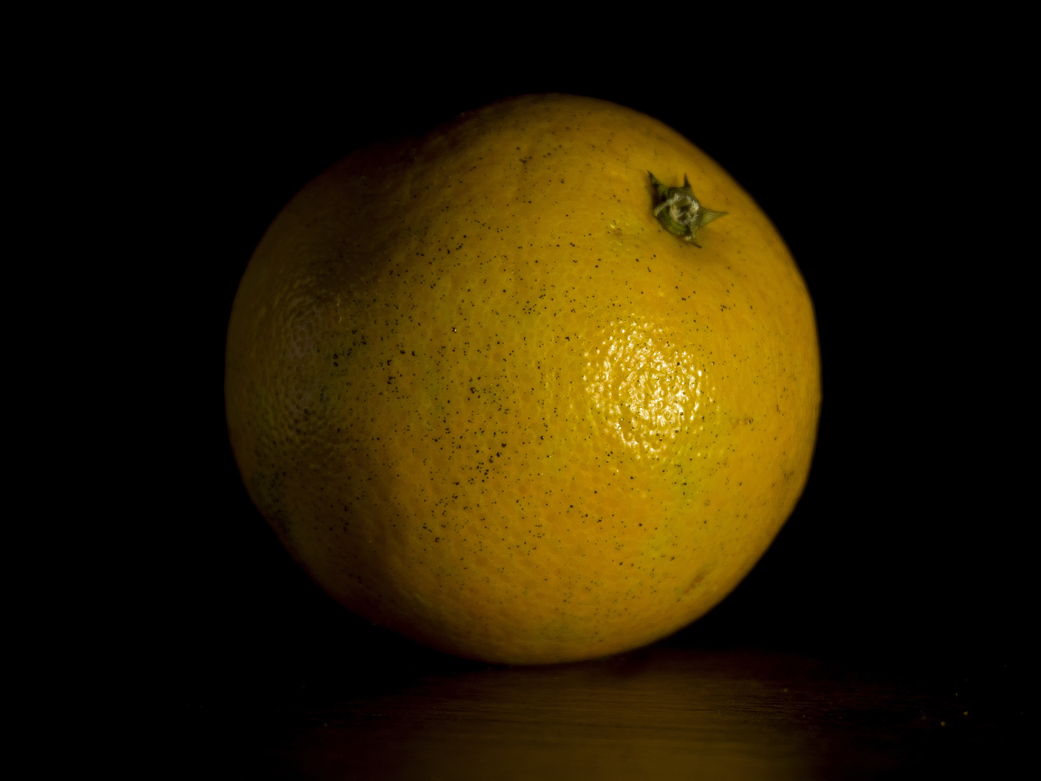 Sony Alpha NEX-5N sample photo. Orange photography