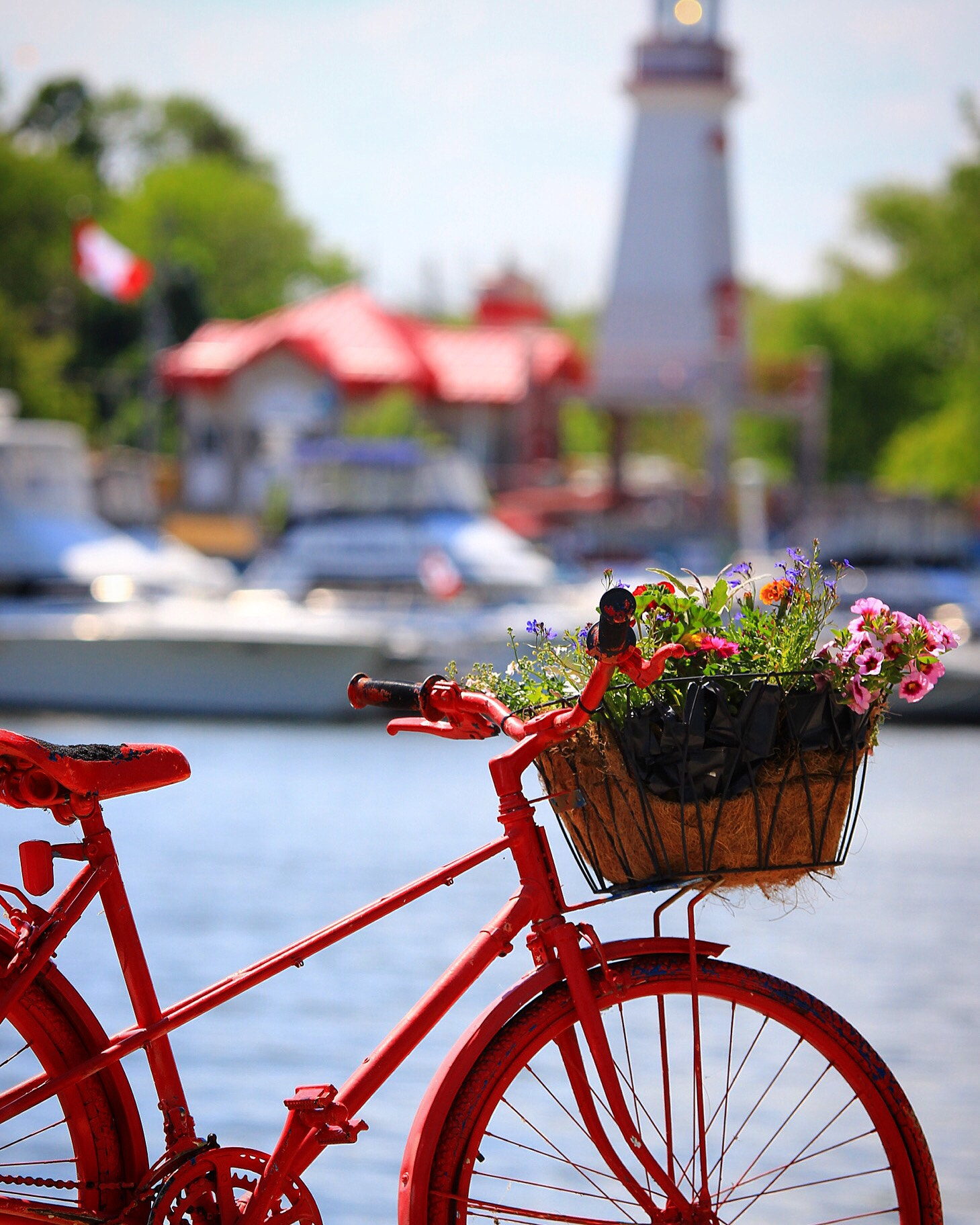 Canon EF 70-200mm F4L IS USM sample photo. Old bikes painted up and seasonally decorated are  ... photography
