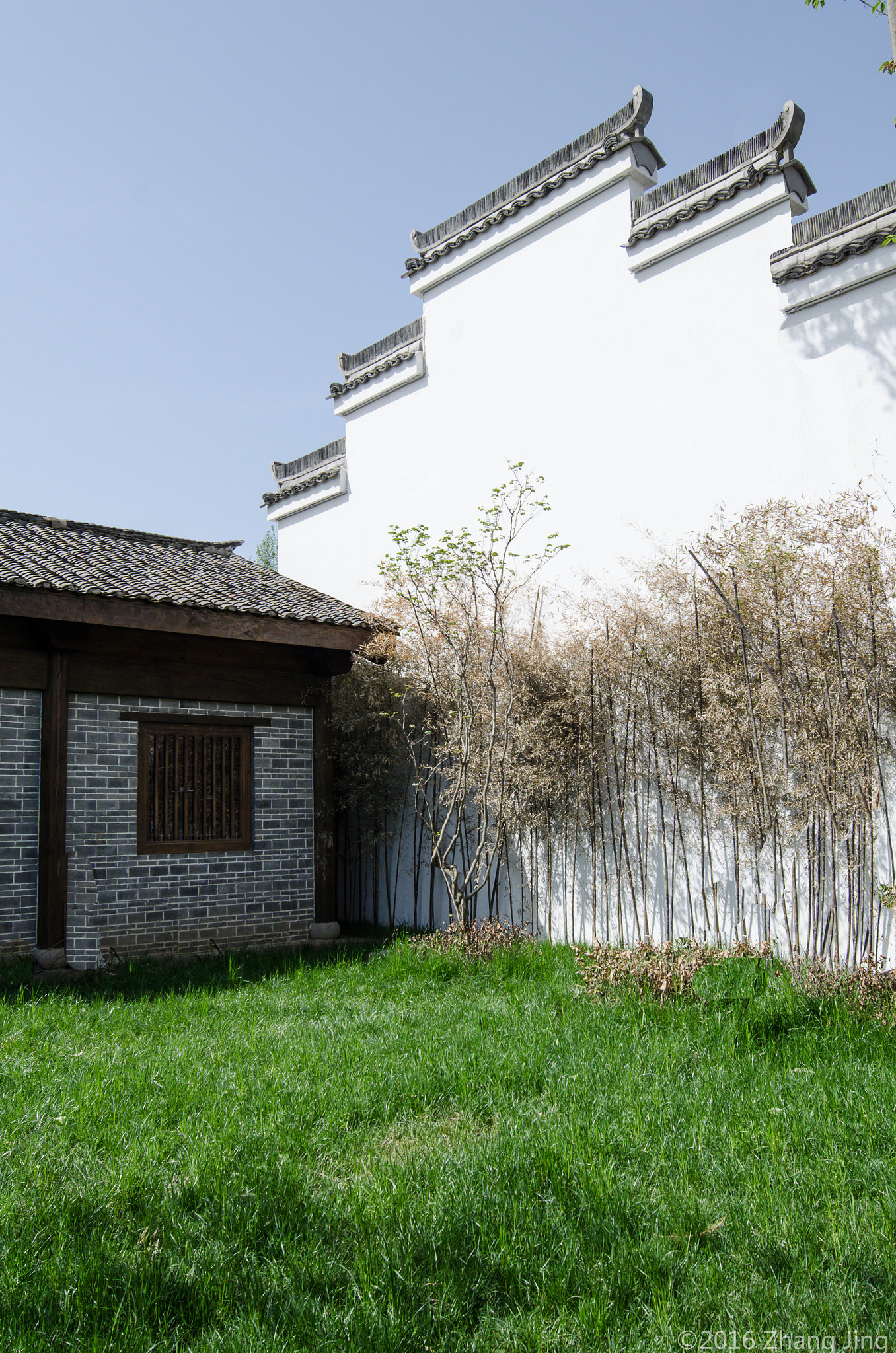 Nikon AF-S Nikkor 18-35mm F3.5-4.5G ED sample photo. 城春草木深 photography