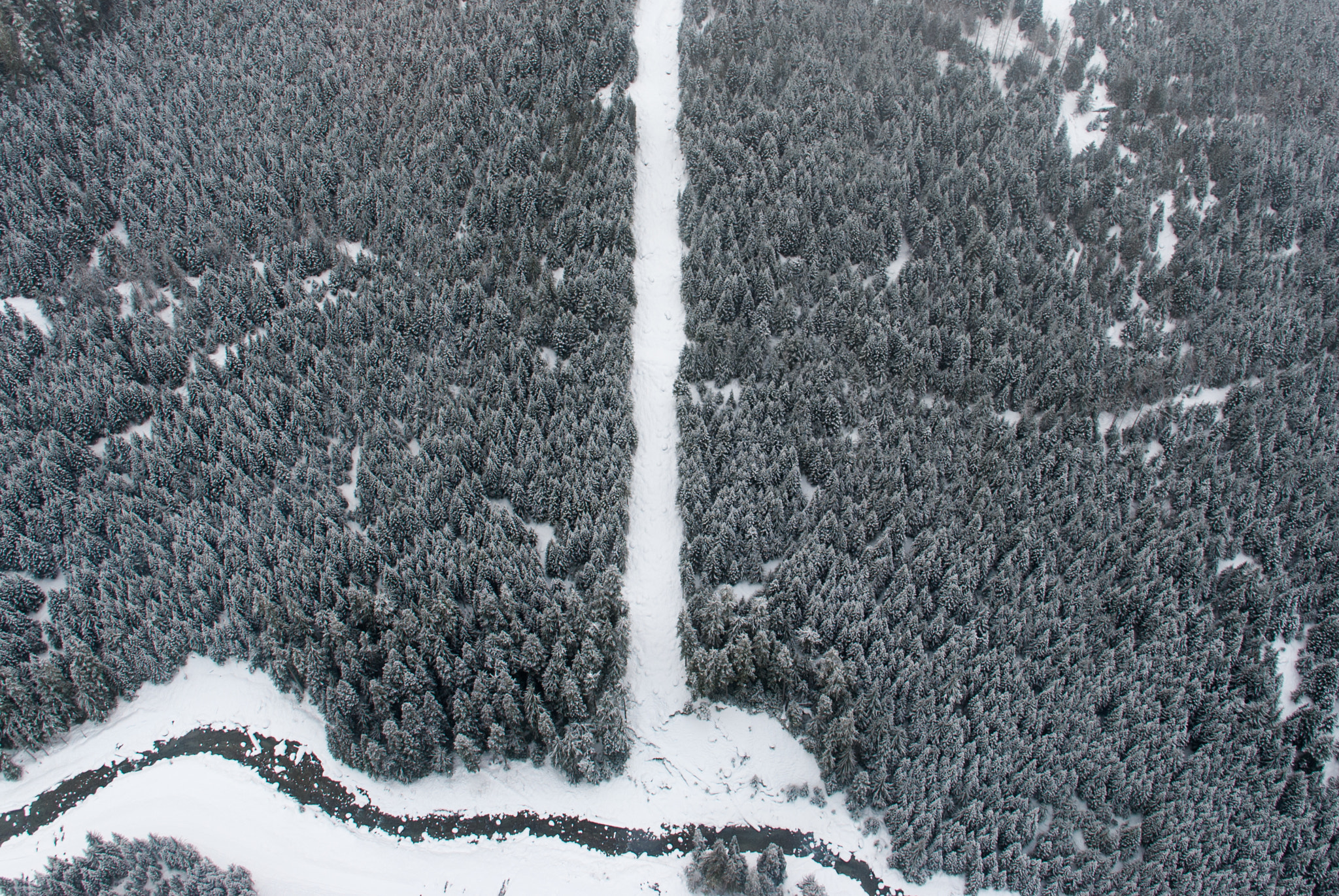 Nikon D3000 sample photo. Way up high photography
