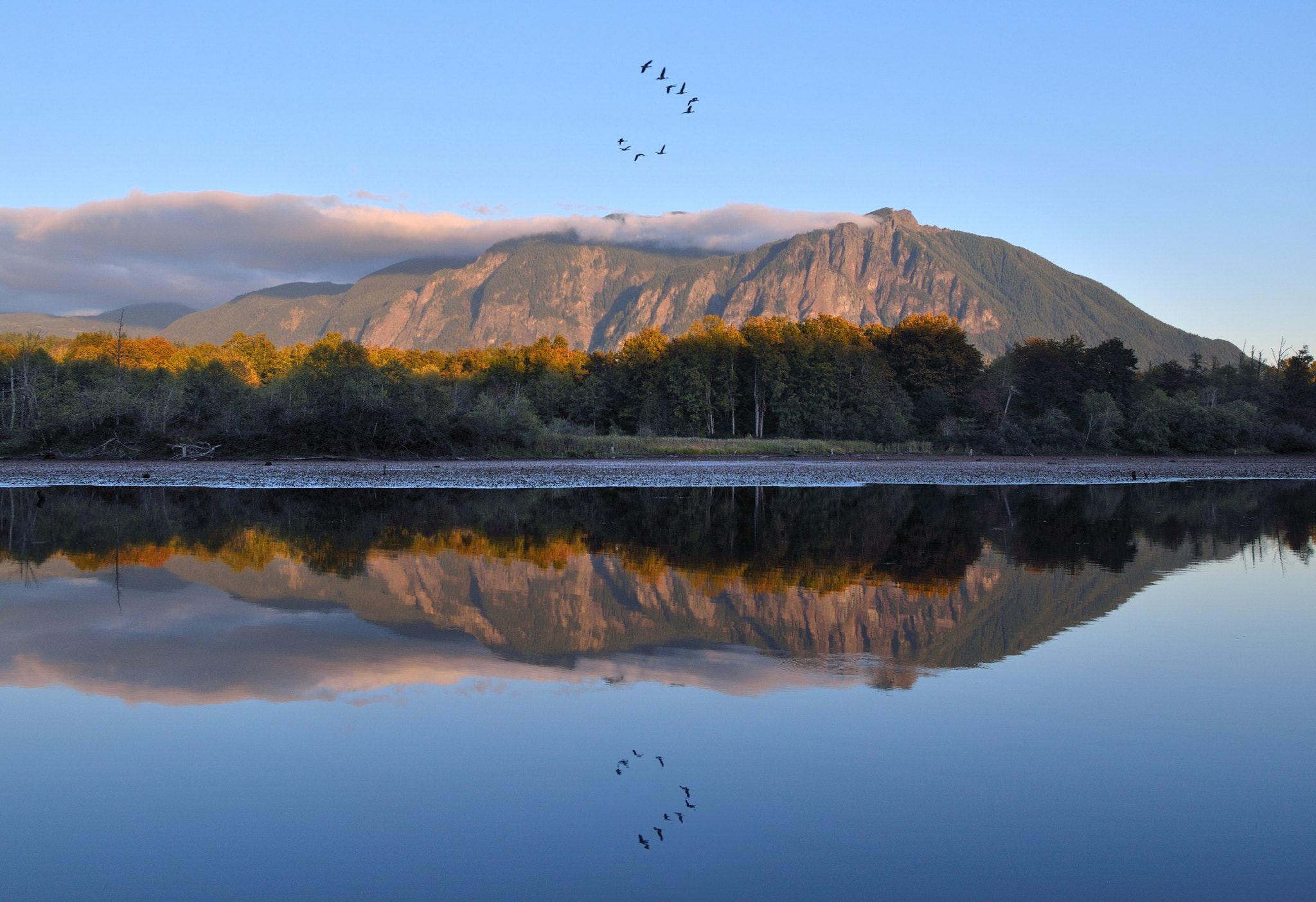 Nikon D7000 + Tokina AT-X Pro 12-24mm F4 (IF) DX sample photo. Sunset and geese above millpond with mount si photography