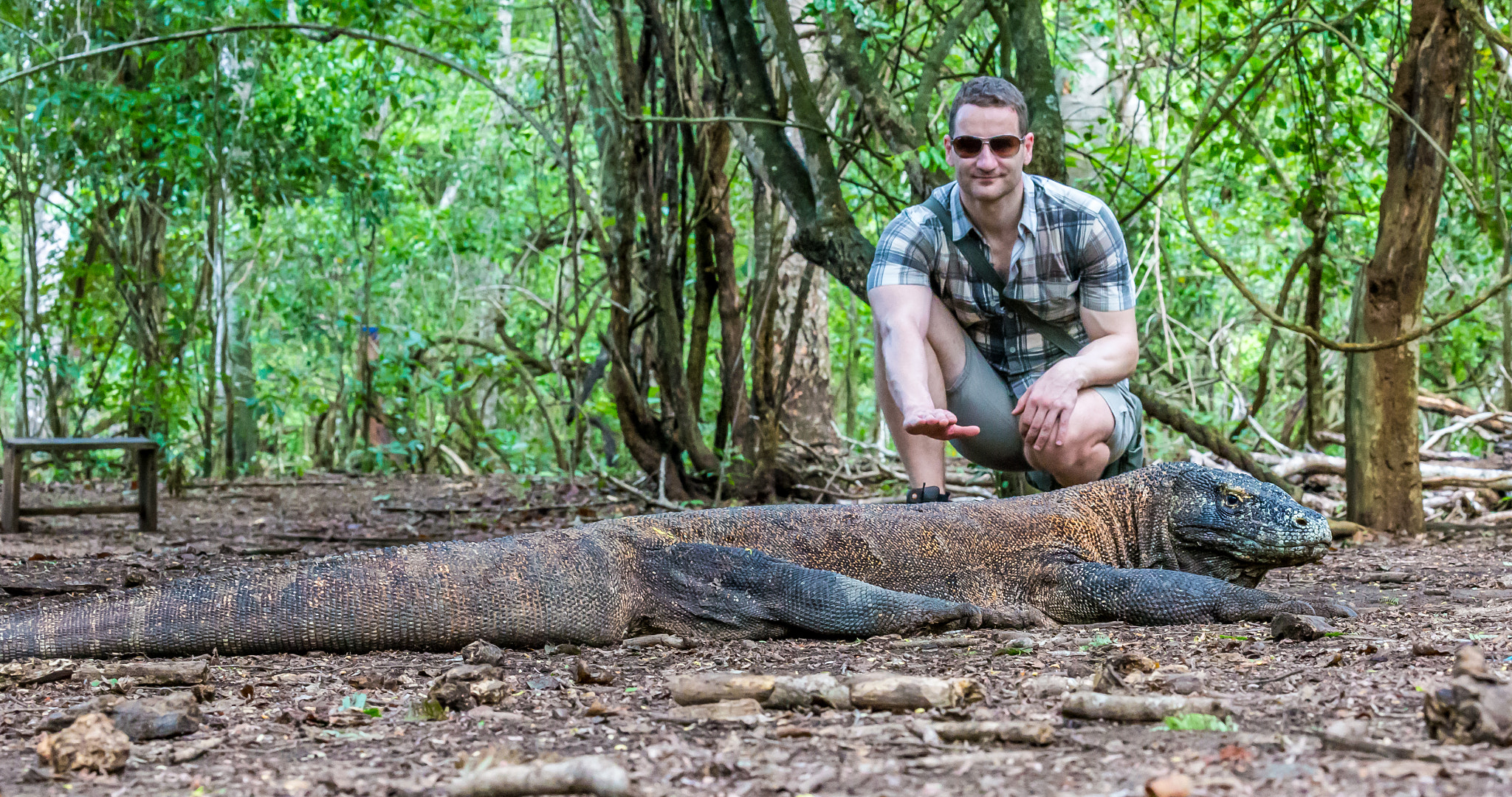 Canon EF 100-400mm F4.5-5.6L IS II USM sample photo. Komodo dragon photography
