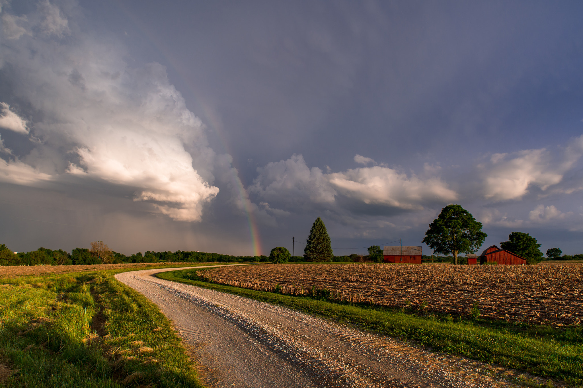 Nikon Df sample photo. After rain photography