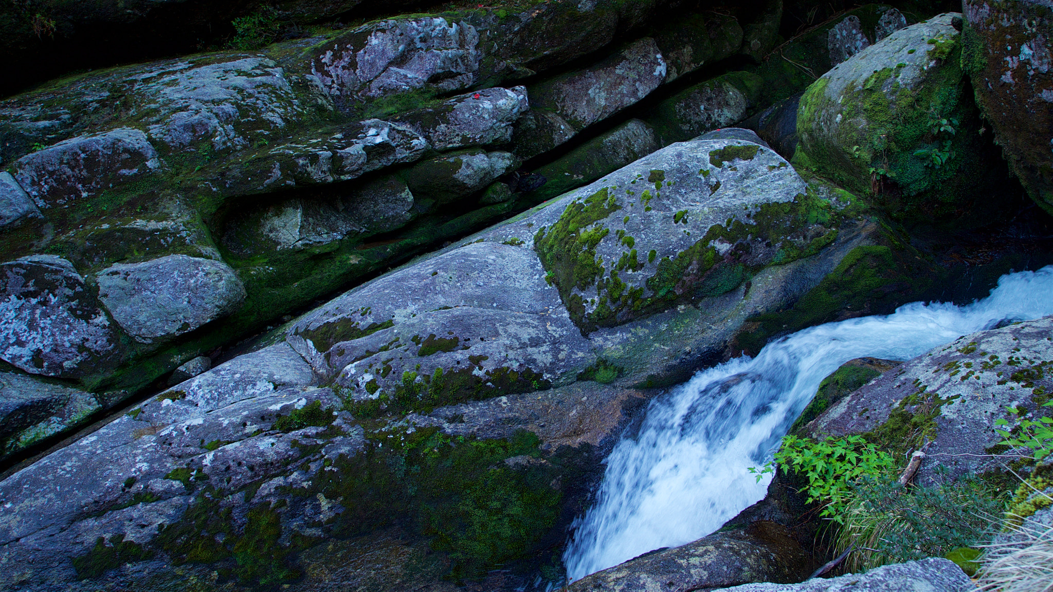 Sony a7S + Sony Vario Tessar T* FE 24-70mm F4 ZA OSS sample photo. Rapid stream in yakushima, japan photography