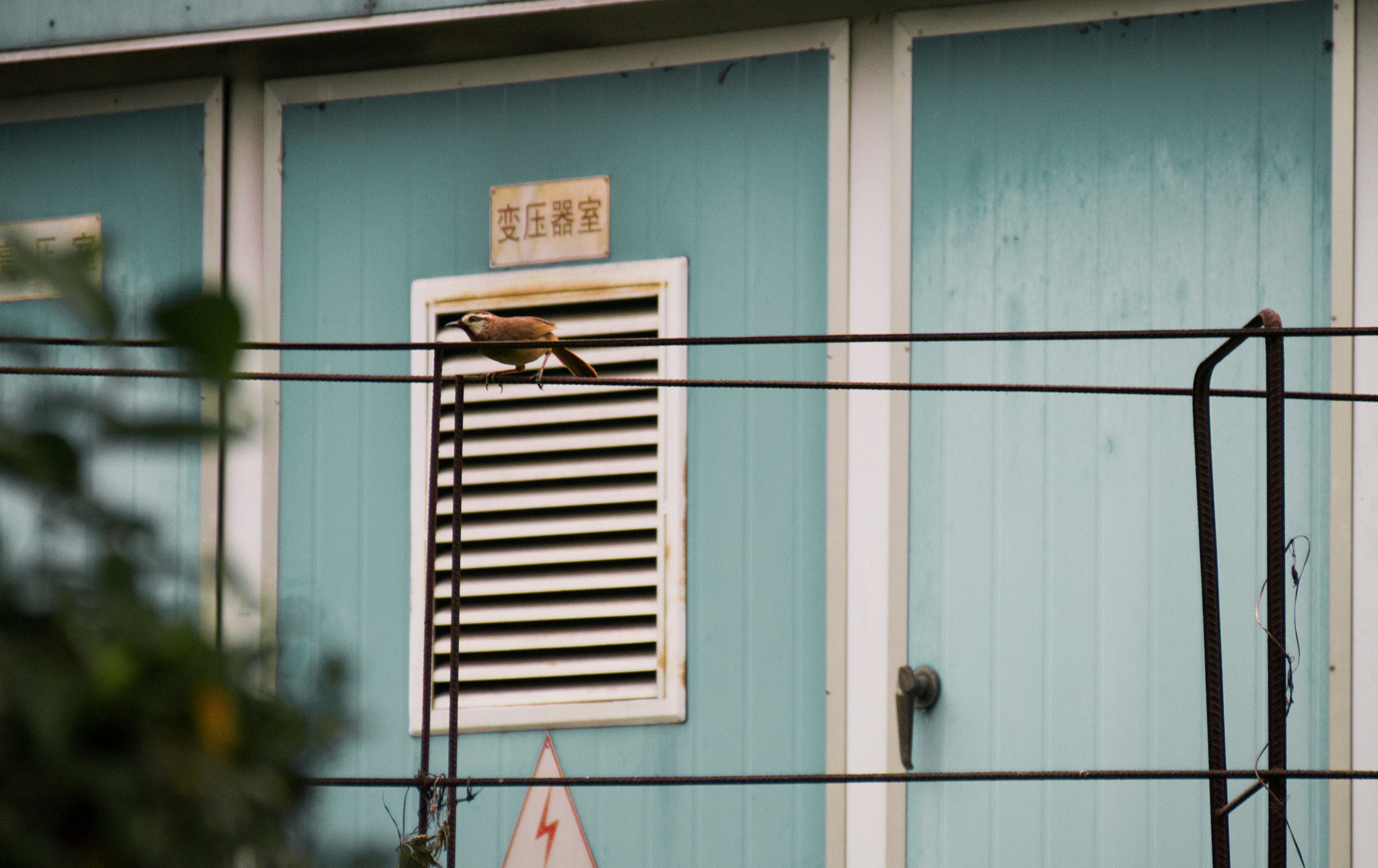 Panasonic Lumix DMC-GX1 sample photo. 准备 photography