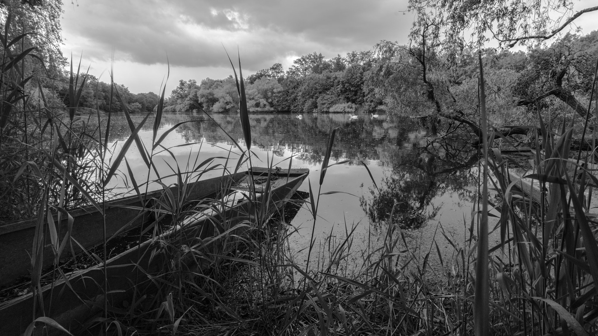 Sony a7 II + Voigtlander SUPER WIDE-HELIAR 15mm F4.5 III sample photo. Rheinauen ii photography