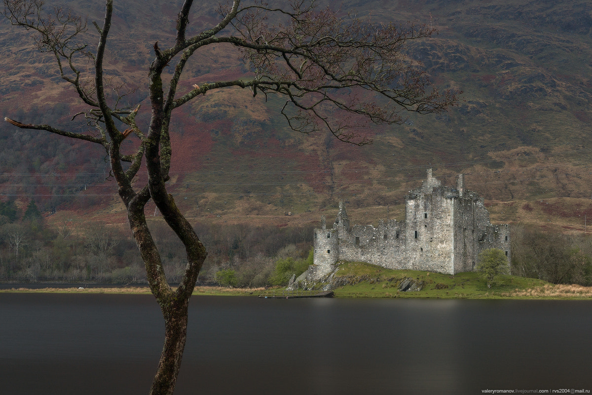 Sony Alpha a99 sample photo. Etude with bare tree and kilchurn castle photography
