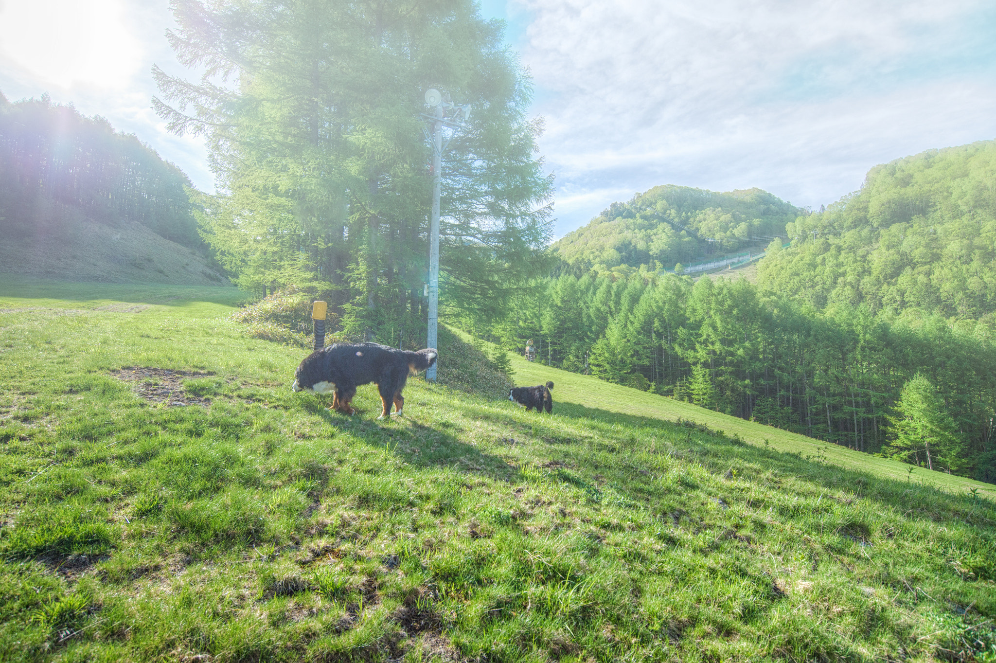 Nikon AF-S Nikkor 18-35mm F3.5-4.5G ED sample photo. Morning mist photography