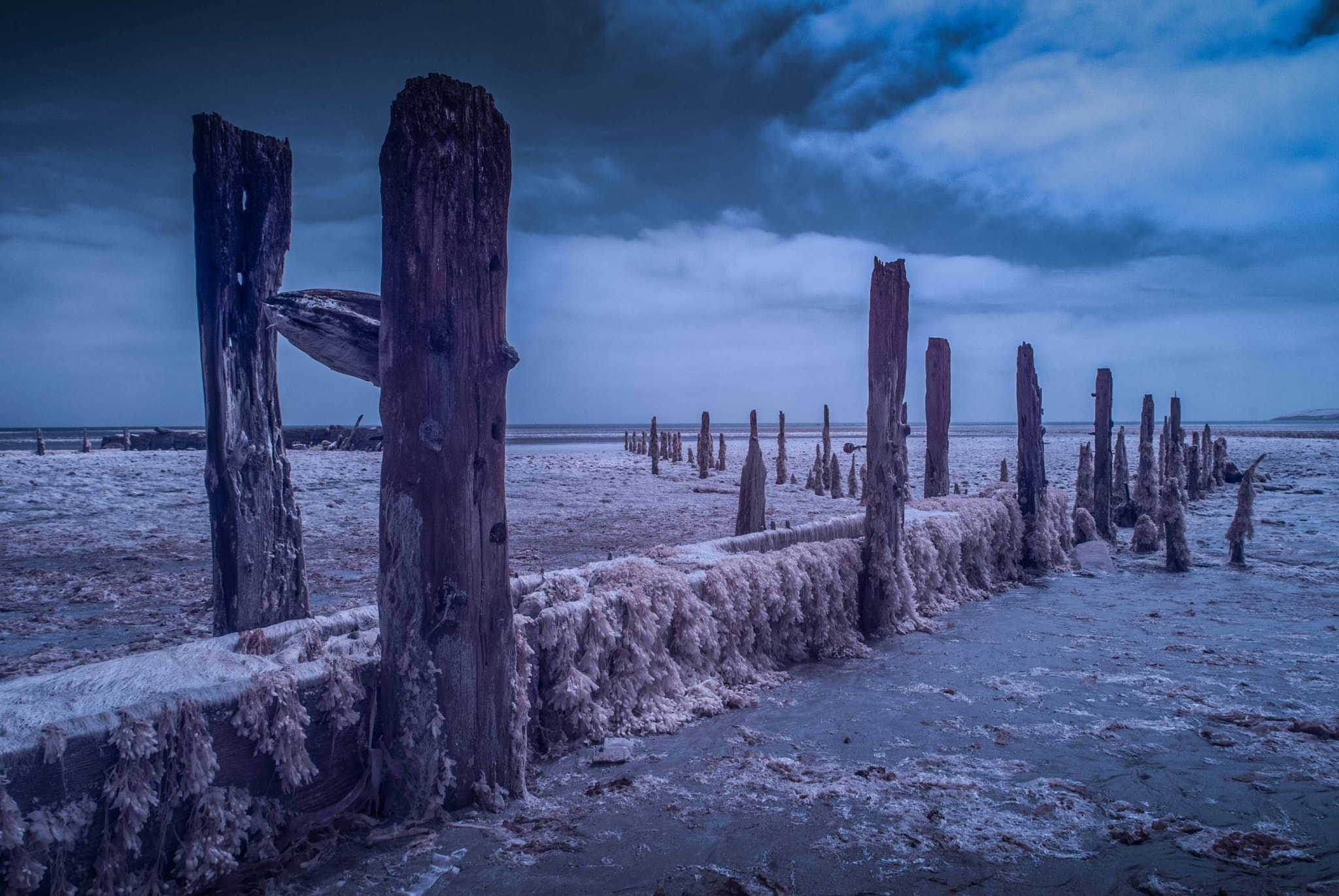 Nikon AF-S Nikkor 16-35mm F4G ED VR sample photo. Infrared groynes 2016 photography